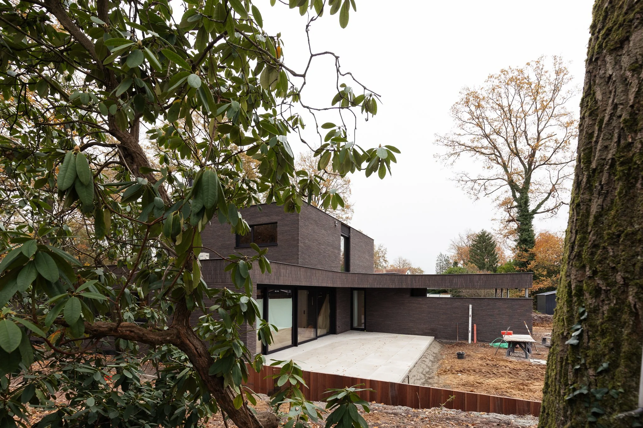 Vandewalle Web (5).jpg