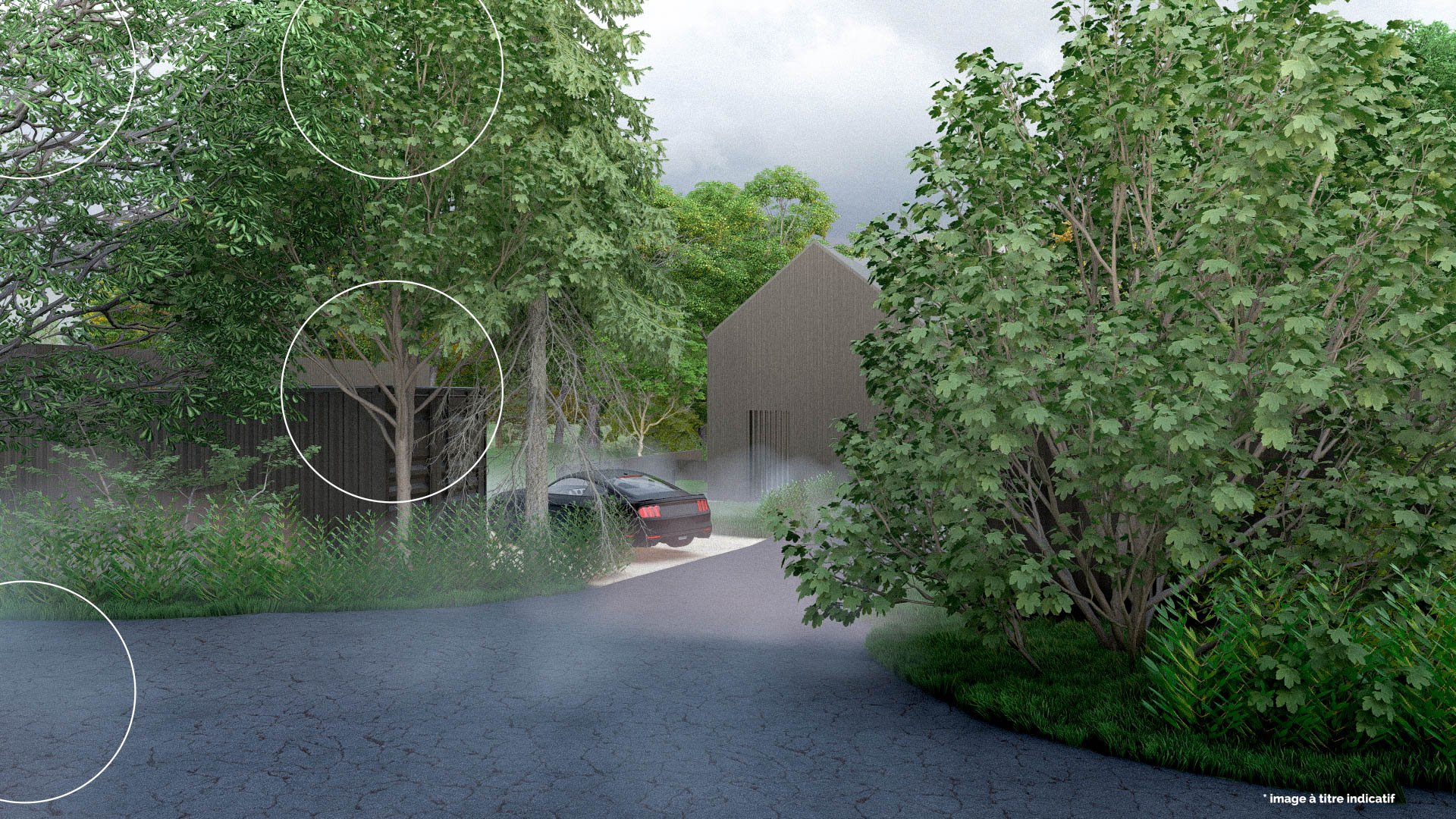 Containers_Photo - 7.jpg