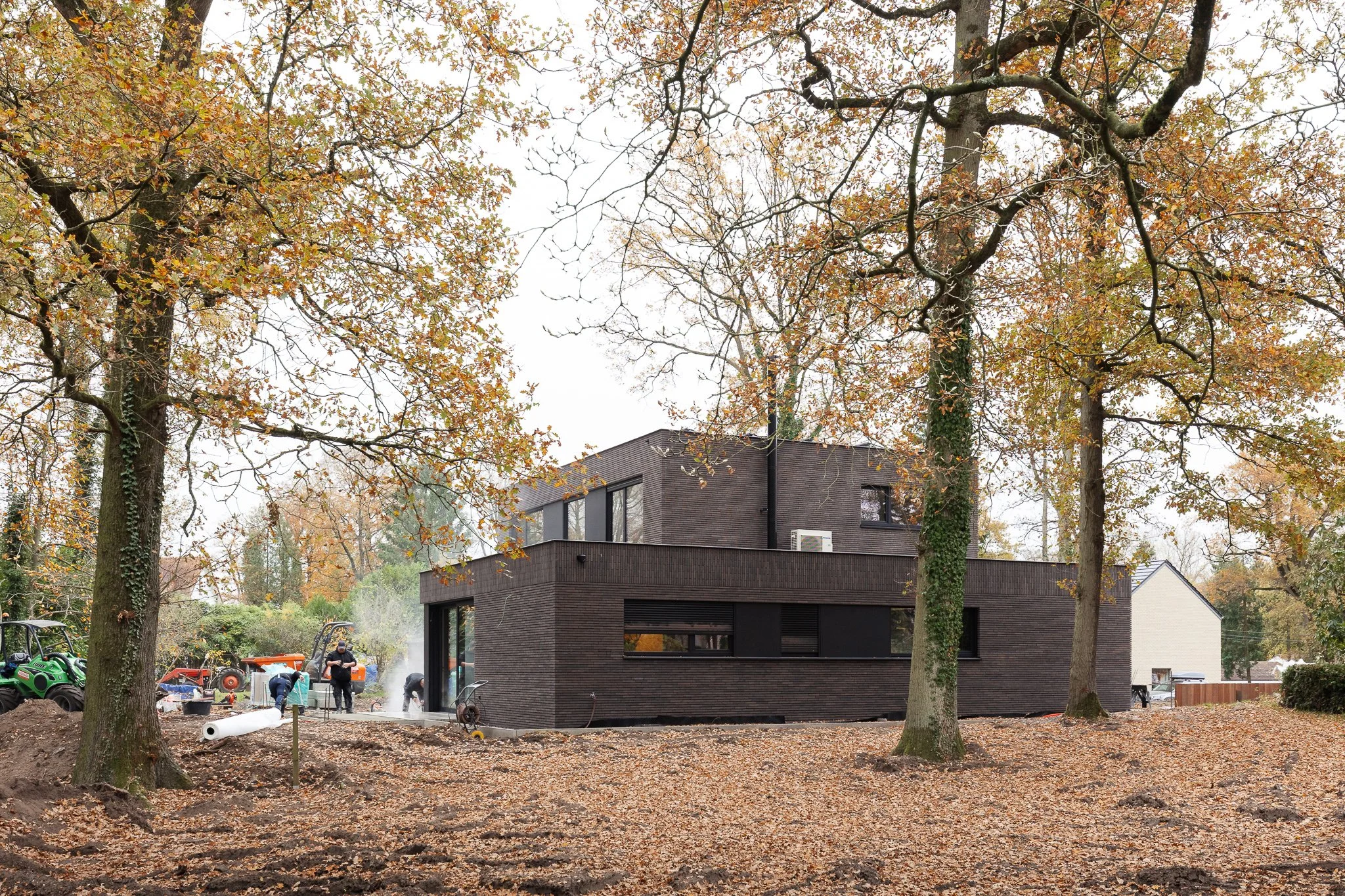 Vandewalle Web (10).jpg