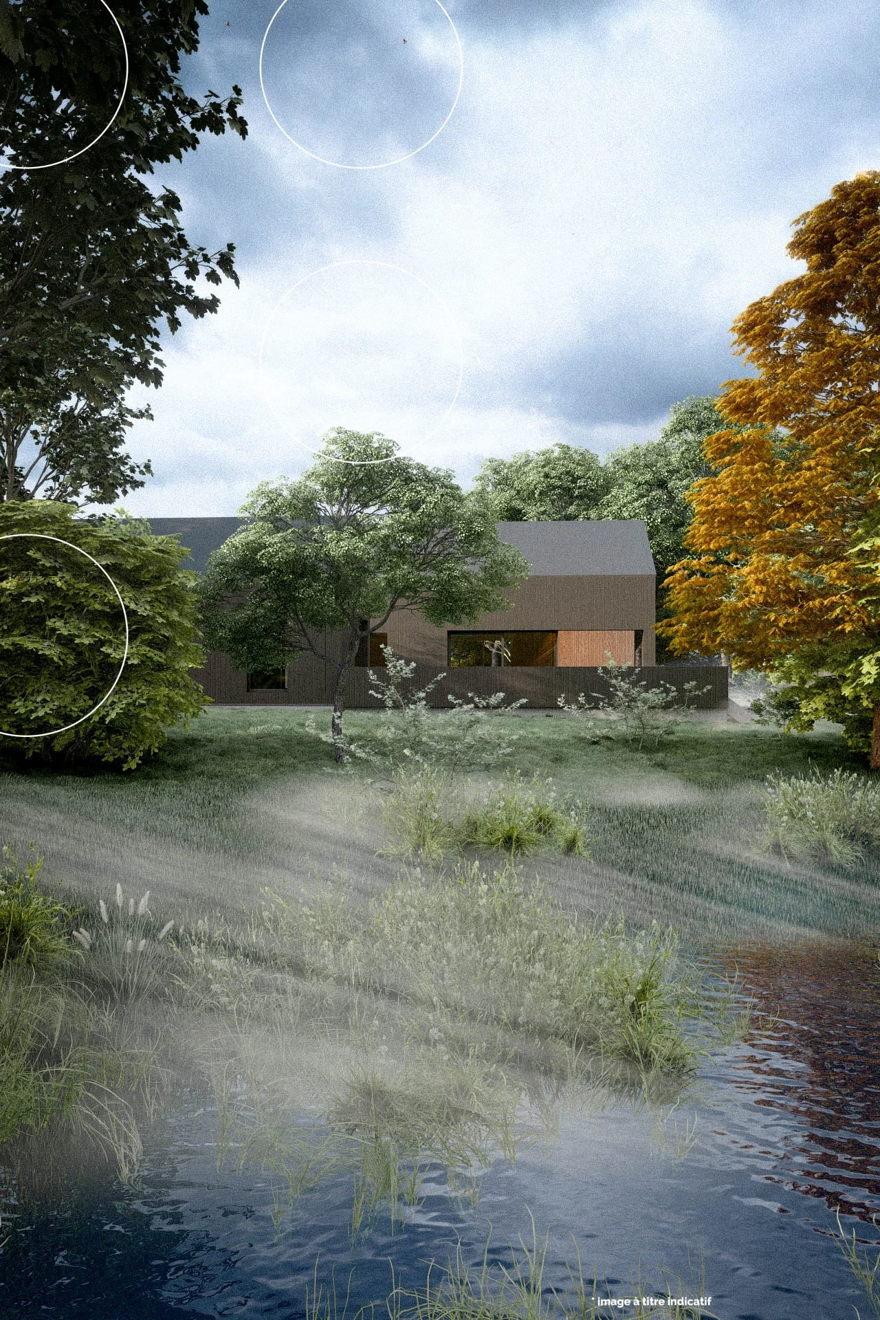 IMG_250409_Photo - 5.jpg