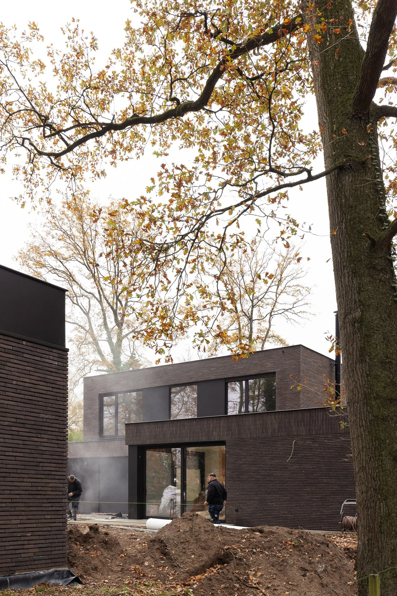 Vandewalle Web (13).jpg