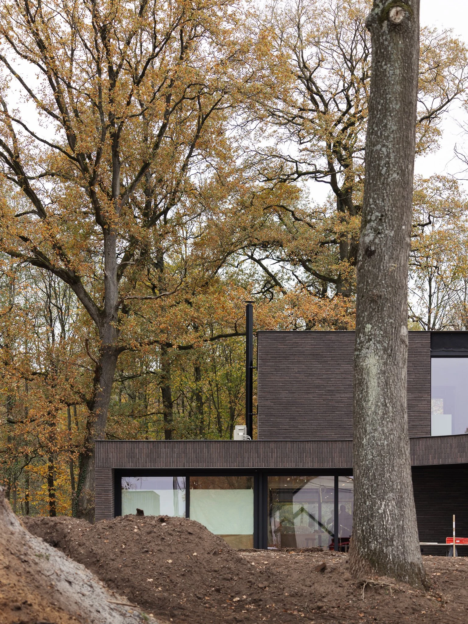 Vandewalle Web (22).jpg