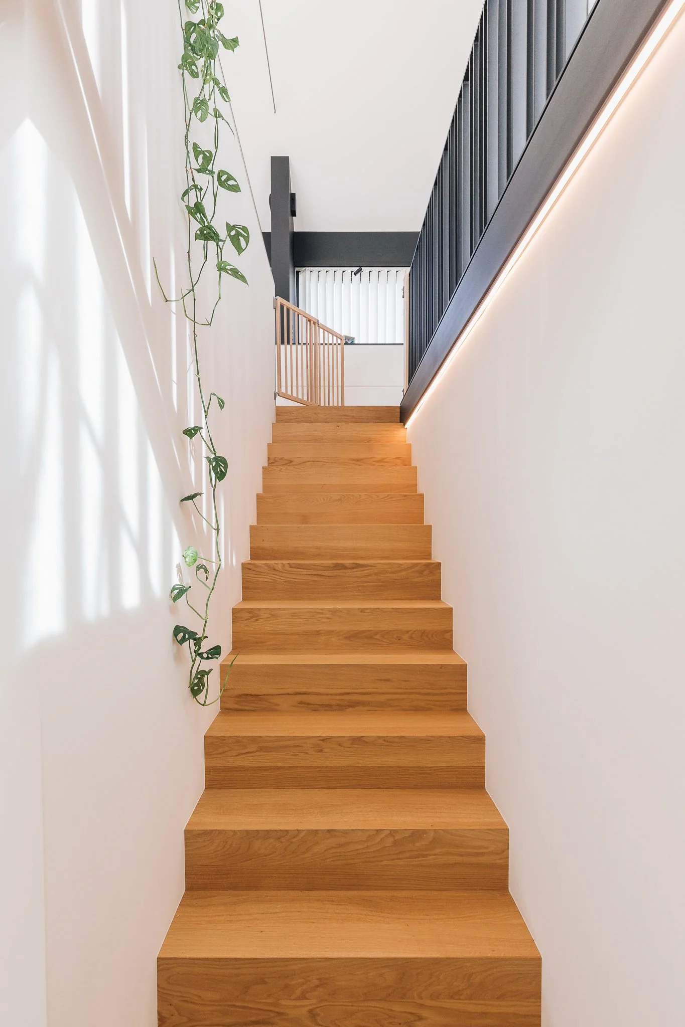 Onze Villes SD-35.jpg