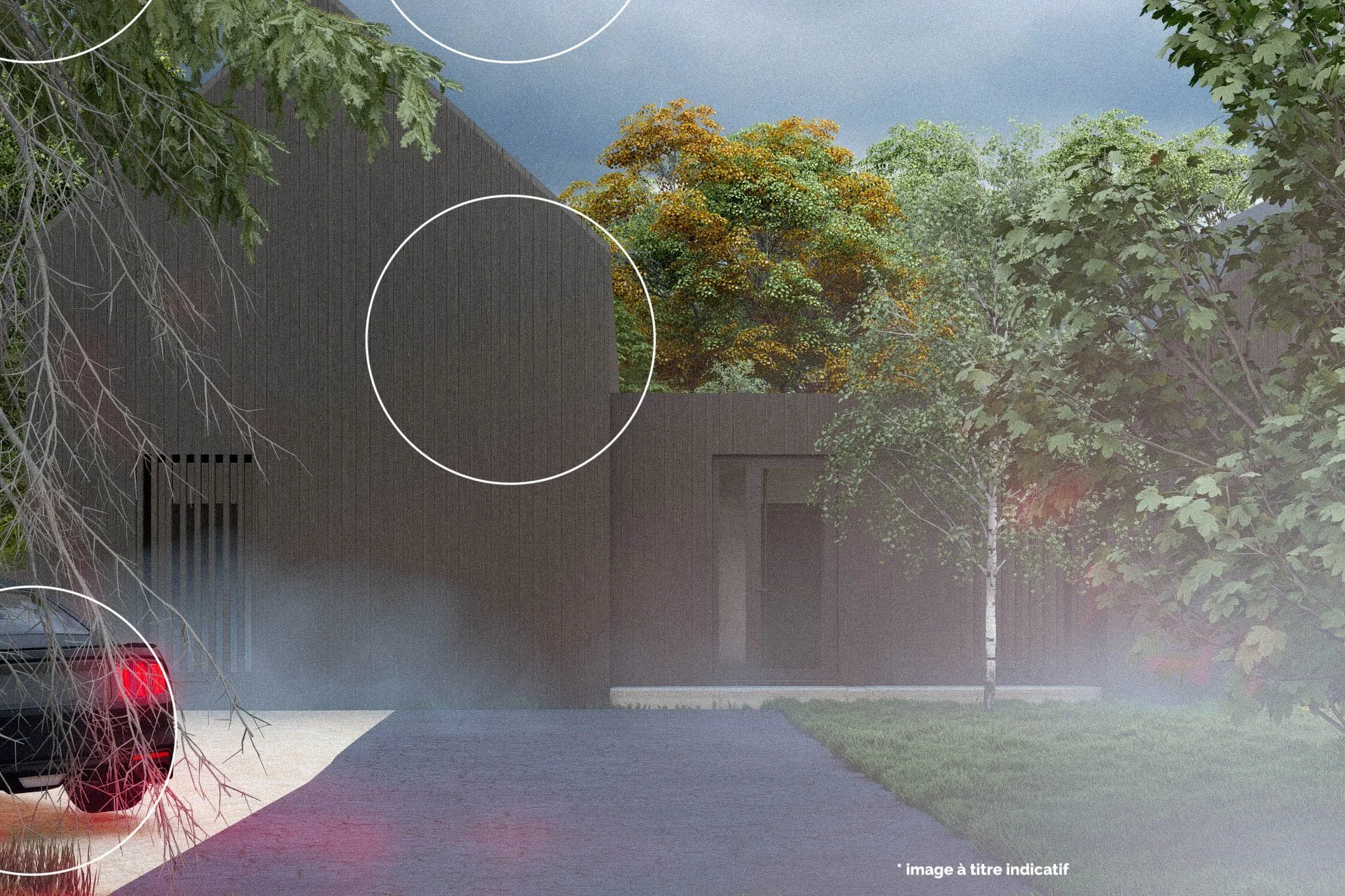 IMG_250409_Photo - 4.jpg