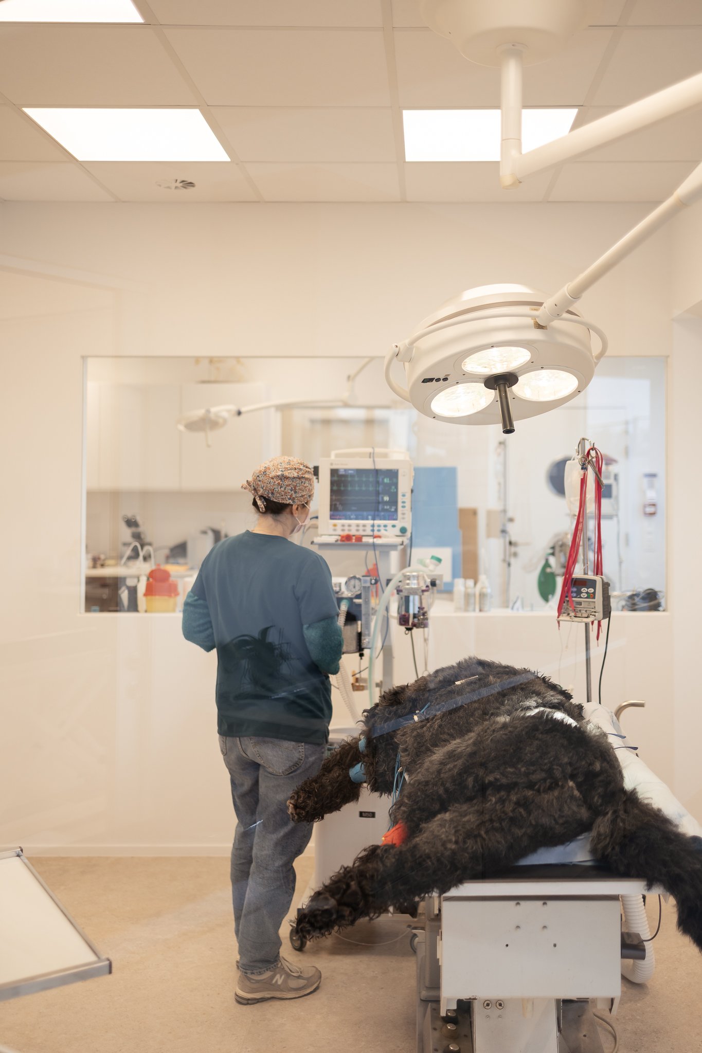 Vetcenter WEB-17.jpg