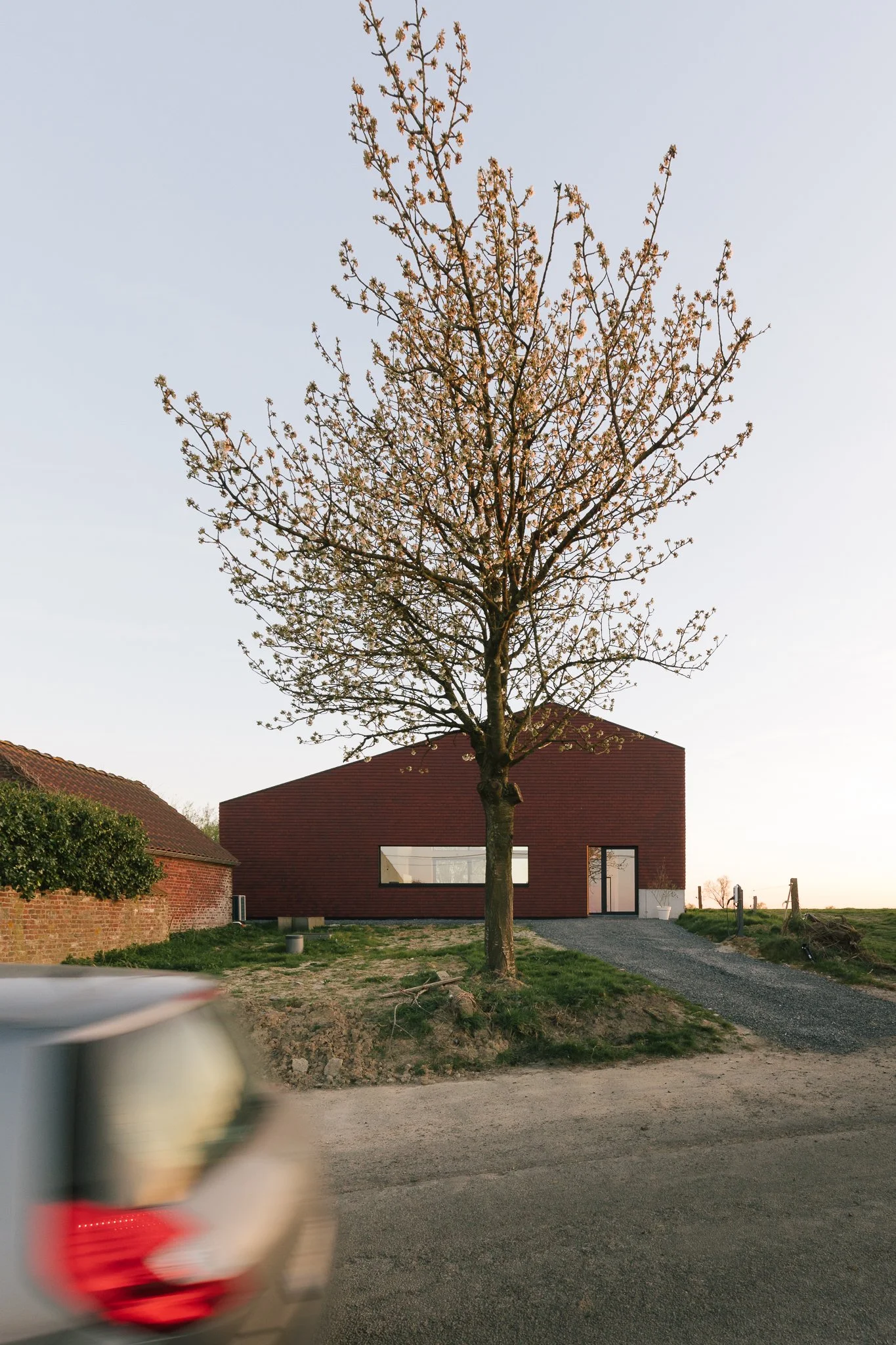 Cantine web ©Utku Pekli (53).jpg