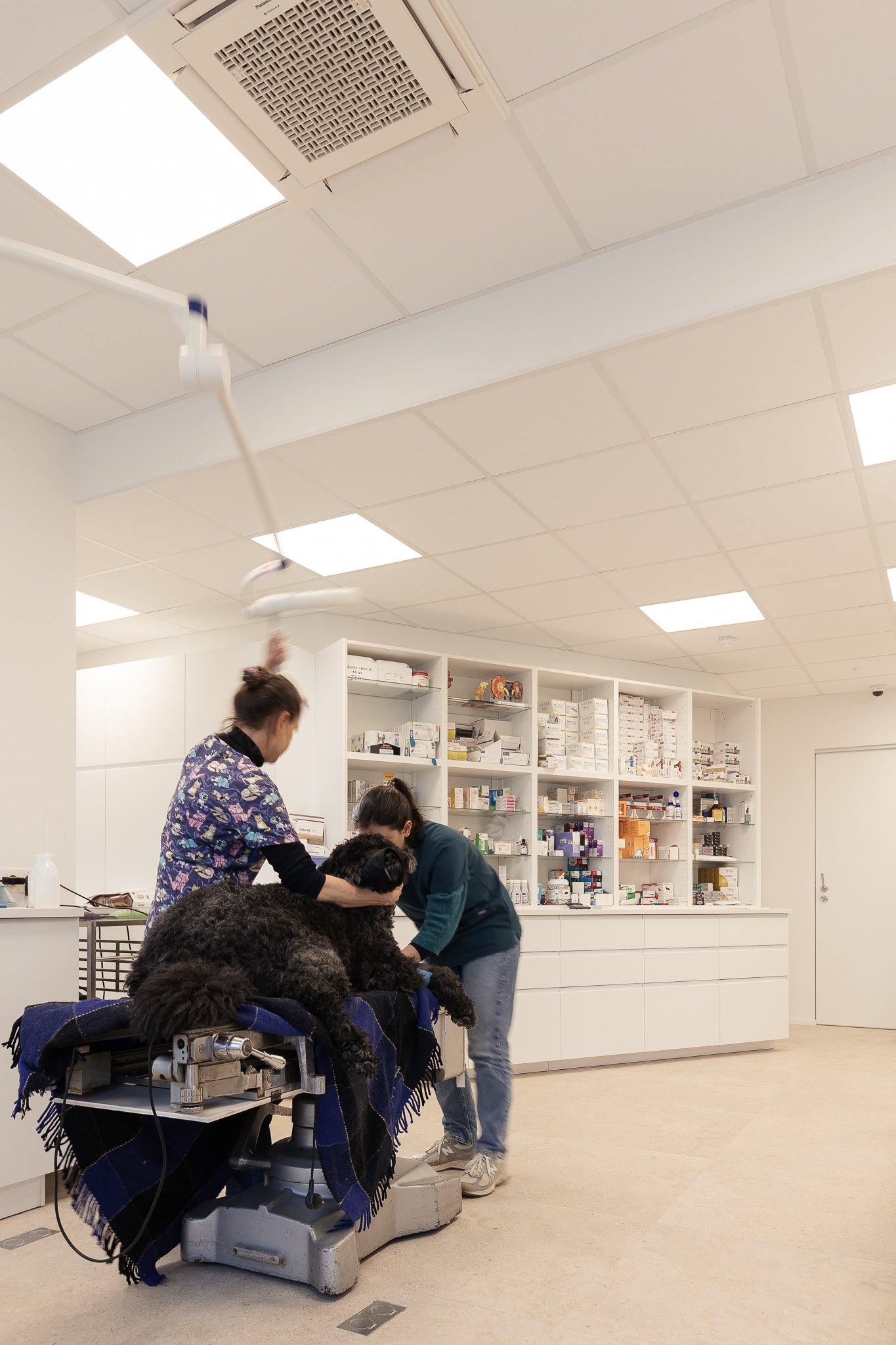 Vetcenter WEB-10.jpg