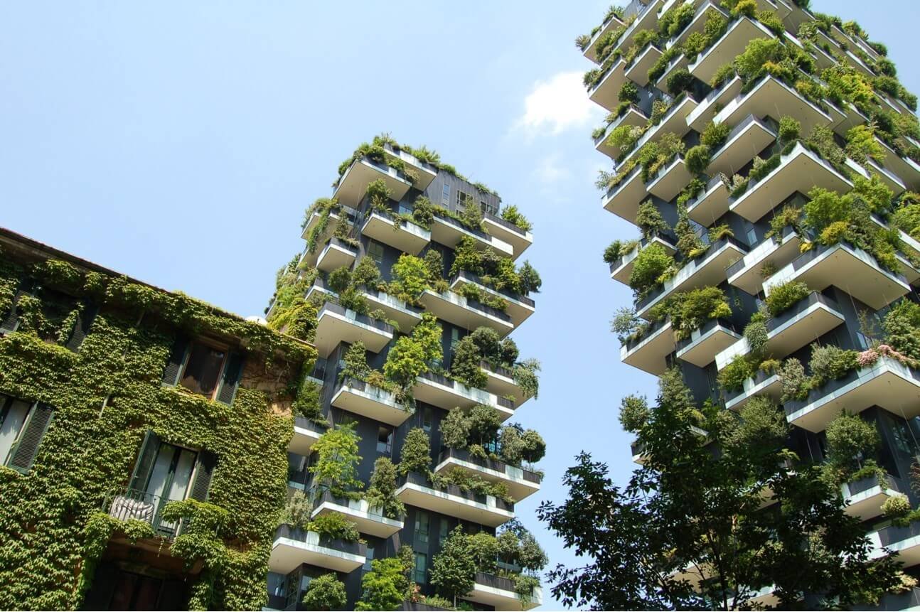 Biophilic Design – The Renaissance of Living with Nature