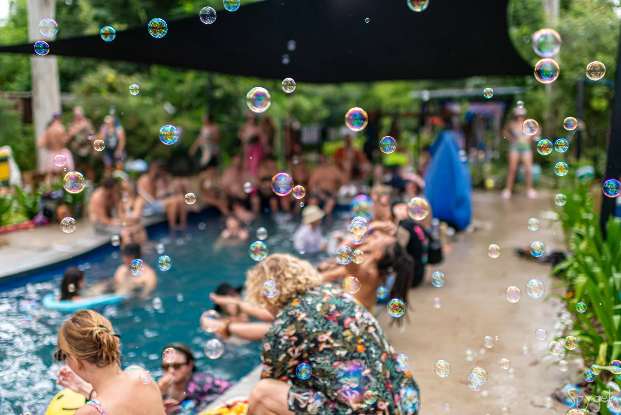 Wizard of Kingston festival pool party