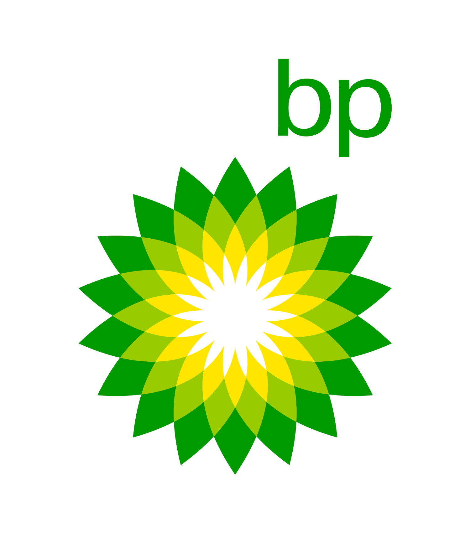 Soluciones profesionales bp
