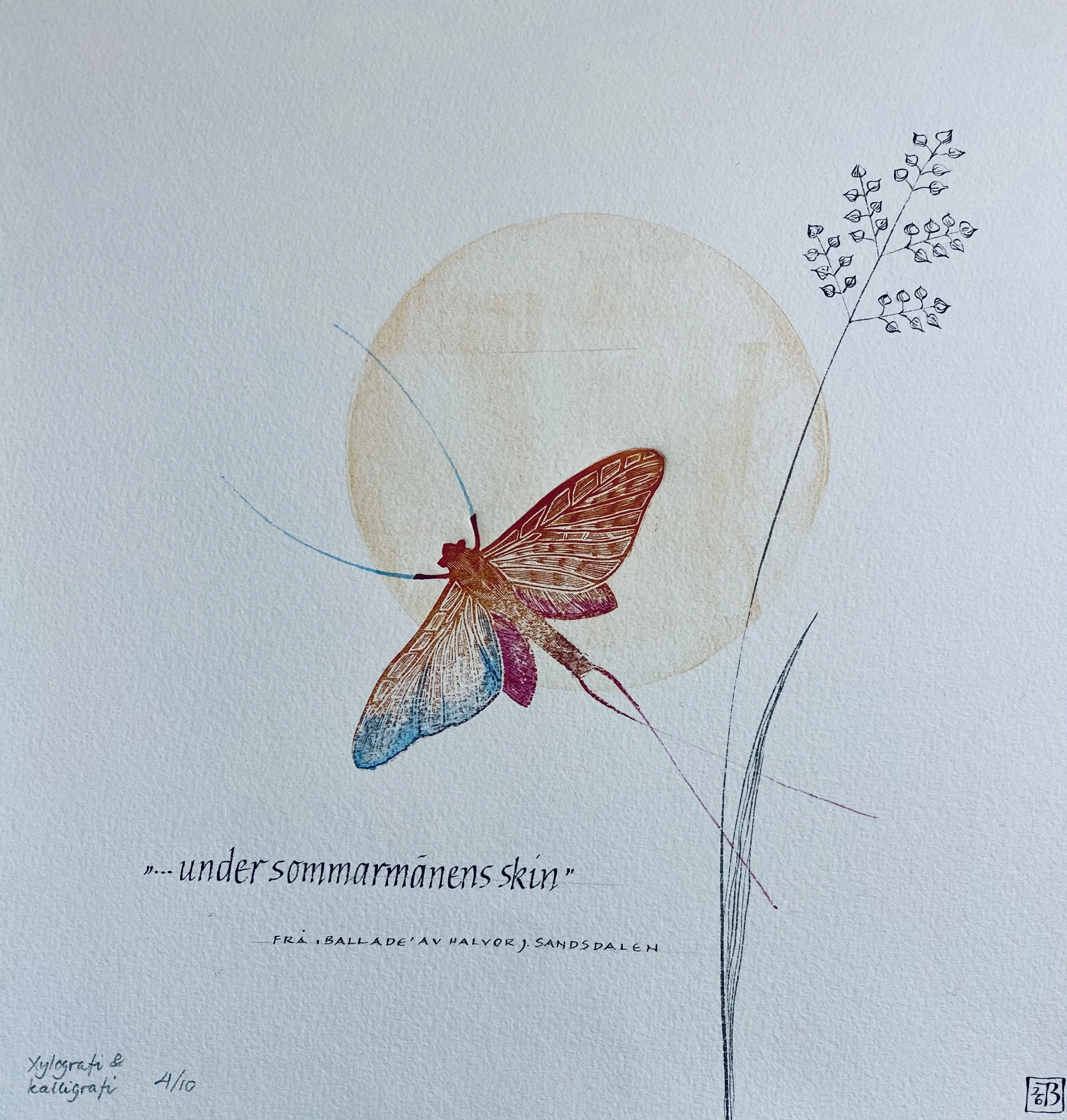 "Under sommarmånen" (2)