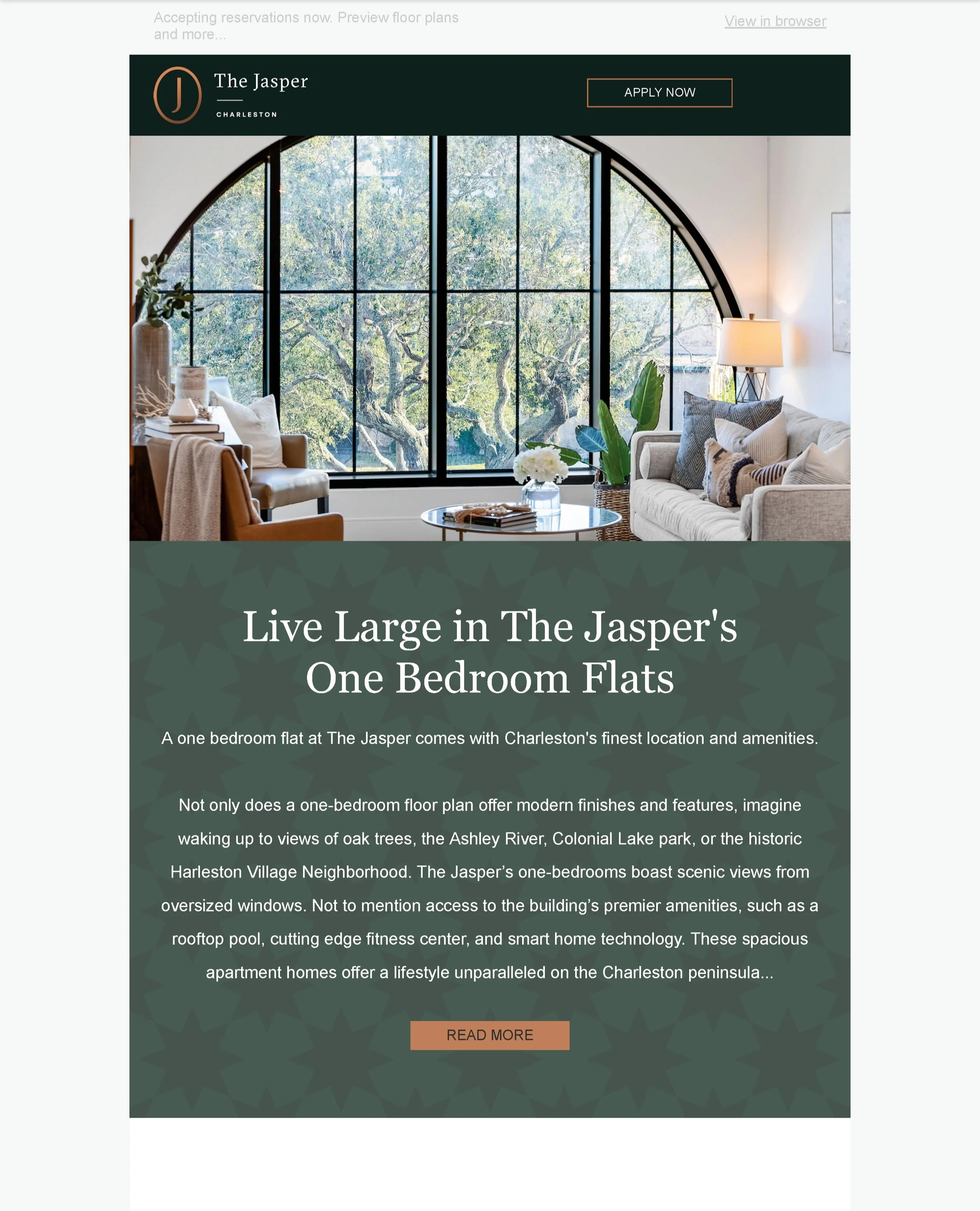 November 2020 Newsletter