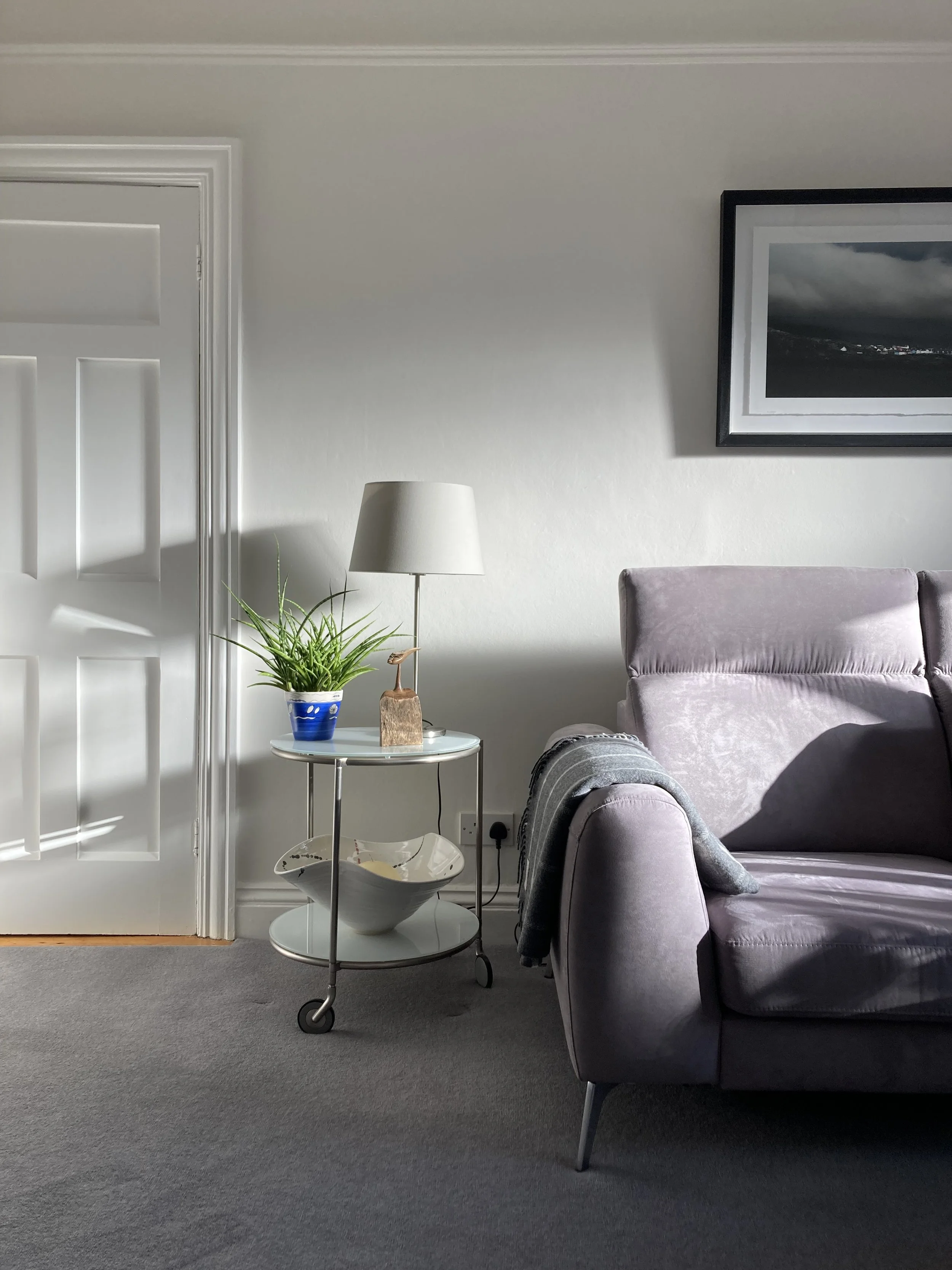 Living room with a gray velvet sofa, a side table with a white bowl, a potted plant in a blue pot, a table lamp, and a framed black and white landscape photograph on a white wall.