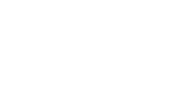 Bolt logo website.png