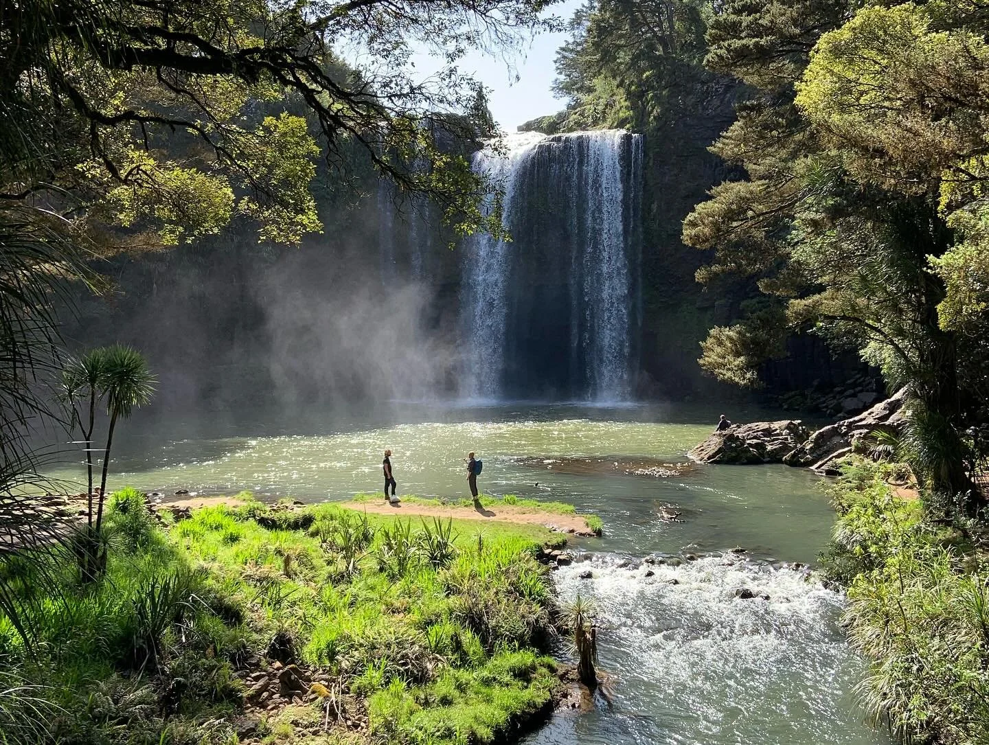 It&rsquo;s hard to believe it&rsquo;s almost been one year since we broke camp in the UK, packed our bags and embarked on our most ambitious research trip to date, Aotearoa! (New Zealand) 

Despite our work guiding taking us to different islands, we&