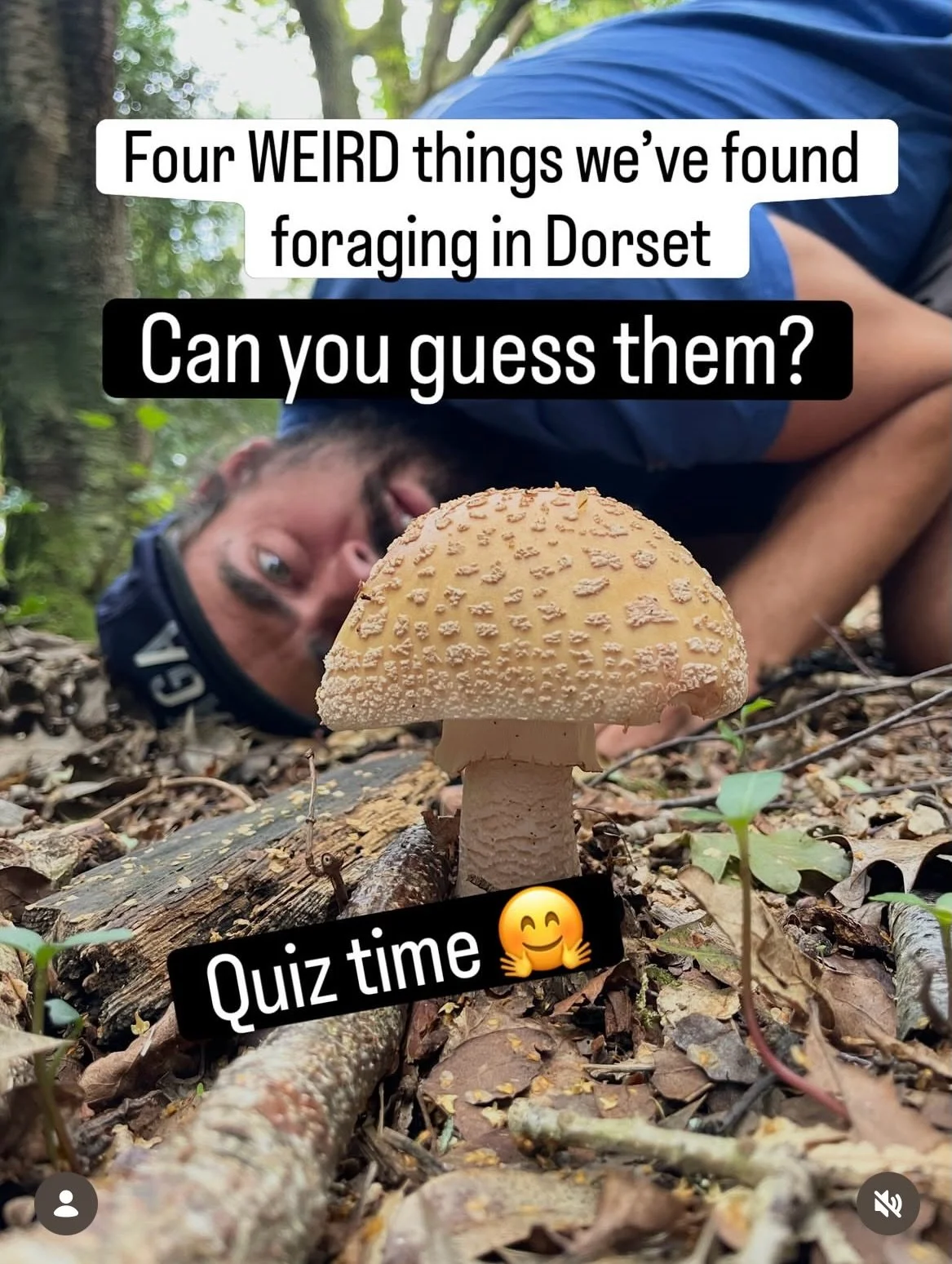 How many did you get right? 

These are just a few of the weird, wonderful and interesting things we&rsquo;ve found while out foraging in Dorset.

That&rsquo;s what we love about foraging, there&rsquo;s always something new to spot, and once you star