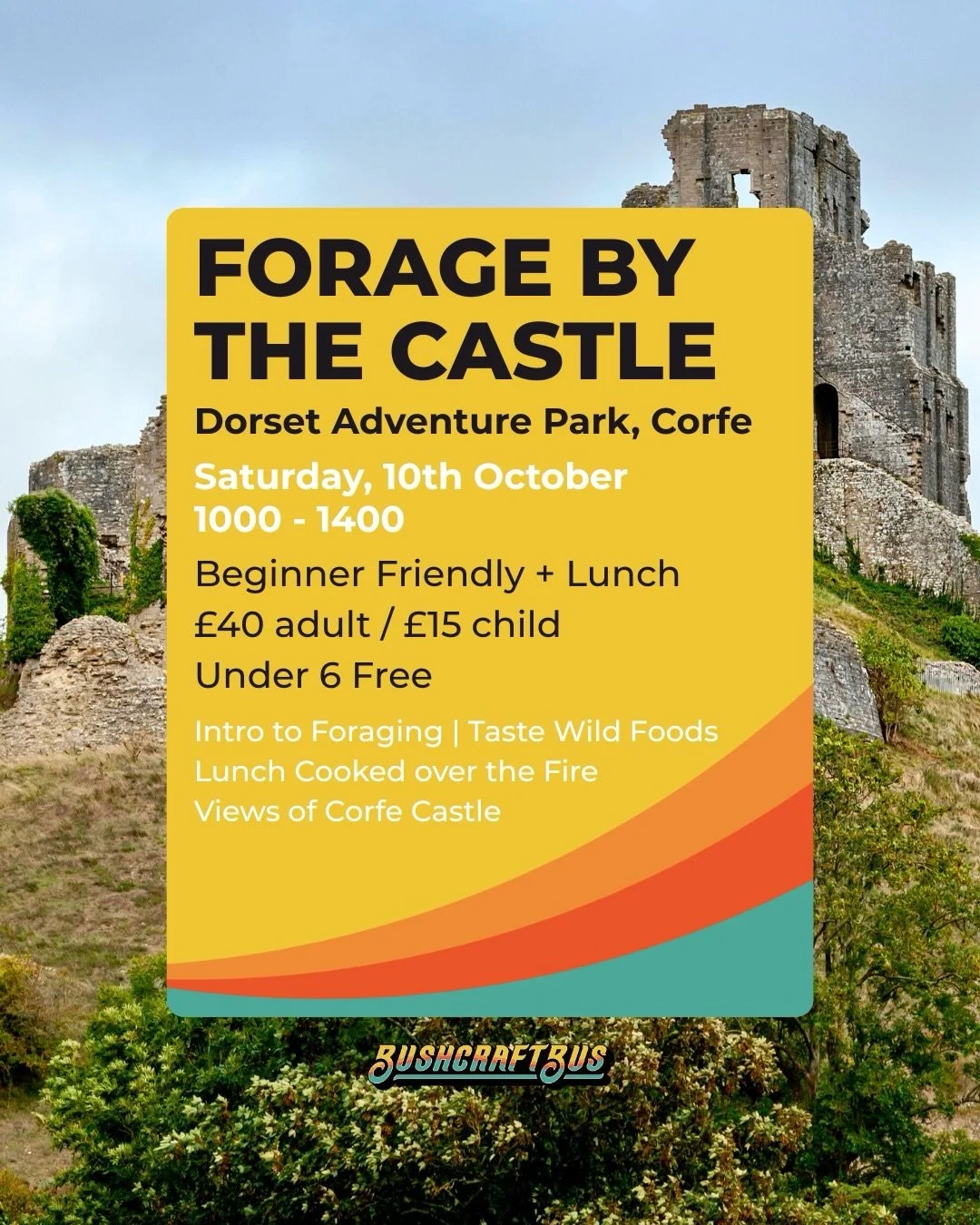 🍄 FORAGE BY THE CASTLE 🍄

Join us for a day of exploring the landscape beneath beautiful Corfe Castle and seeing what the Dorset countryside has to offer in autumn.

We&rsquo;ll be heading out to look for seasonal mushrooms, berries, wild herbs and