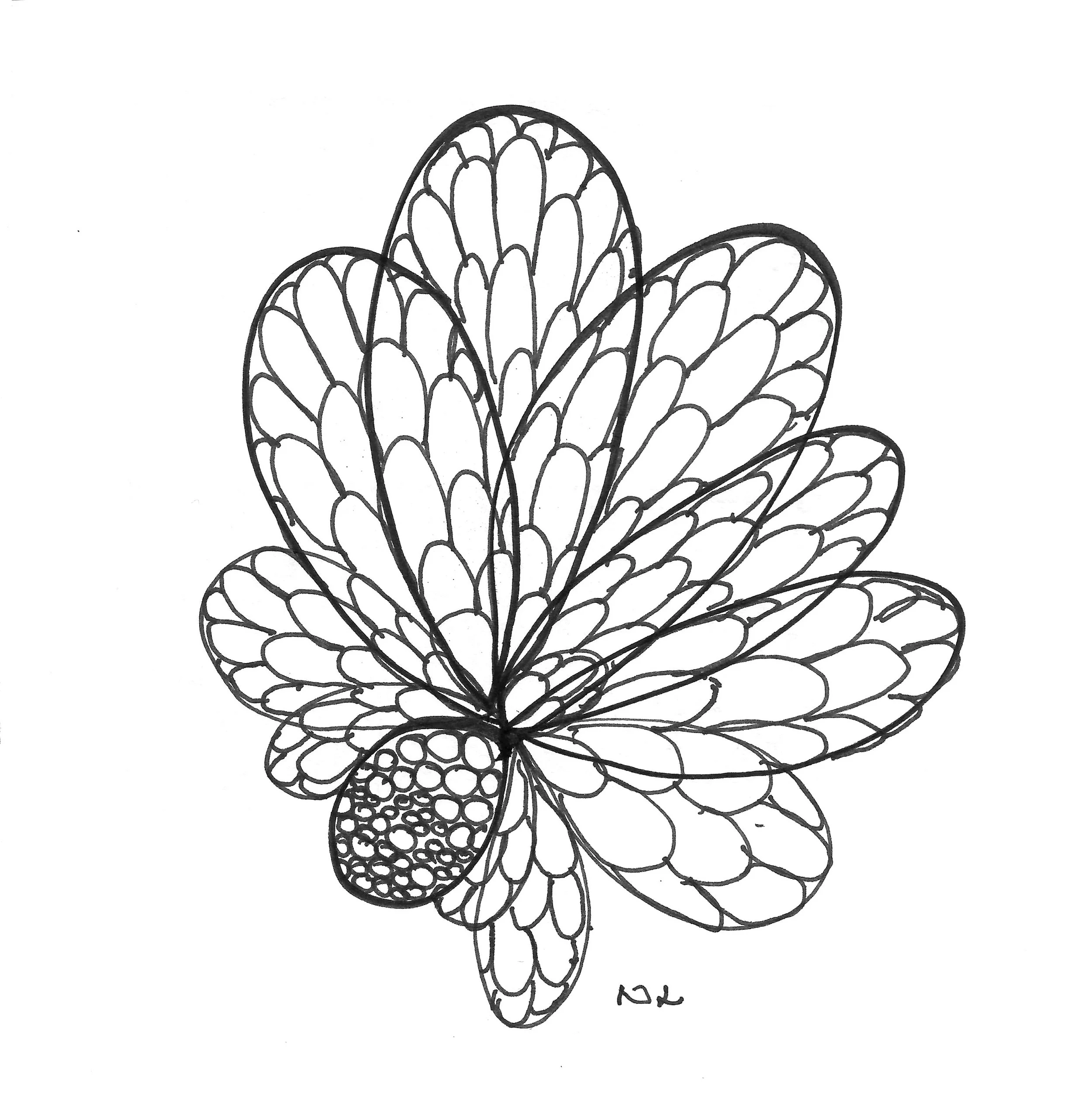 Doodle Butterfly.jpg