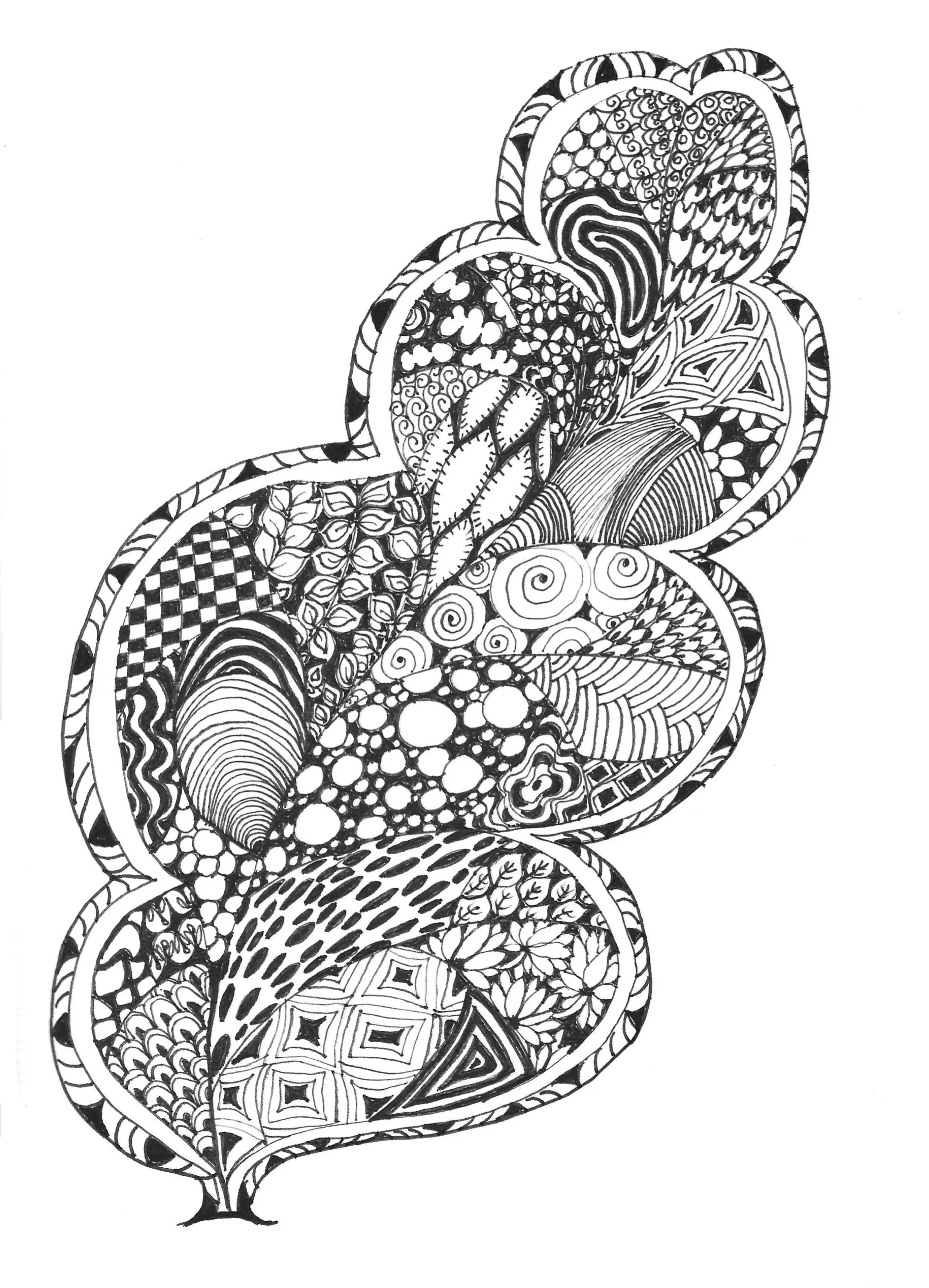 cfe364e2-b03b-4ceb-ba72-dcbc272f45fd_2026-05-21_123118.jpg