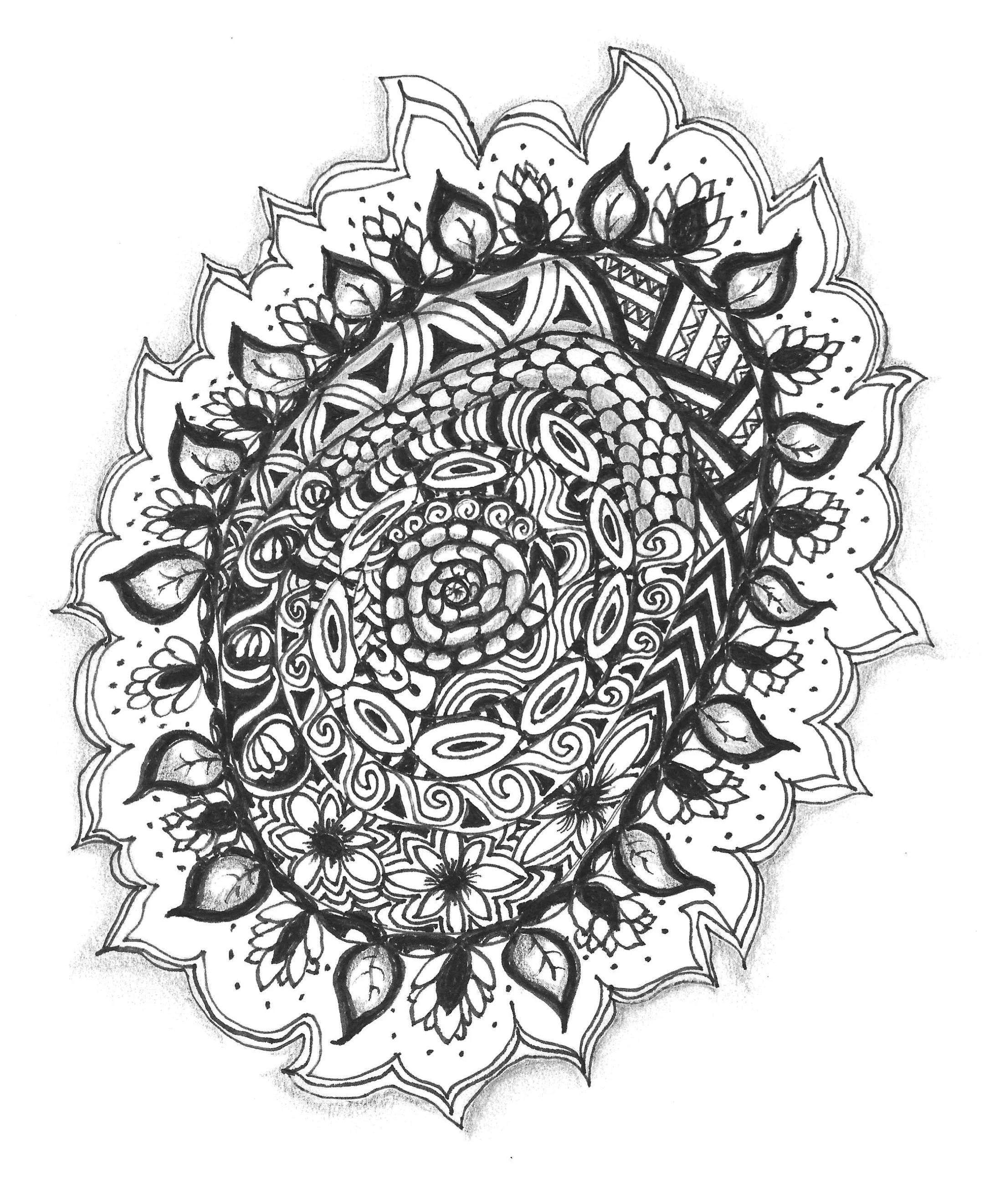 Document_2026-05-21_124106.jpg