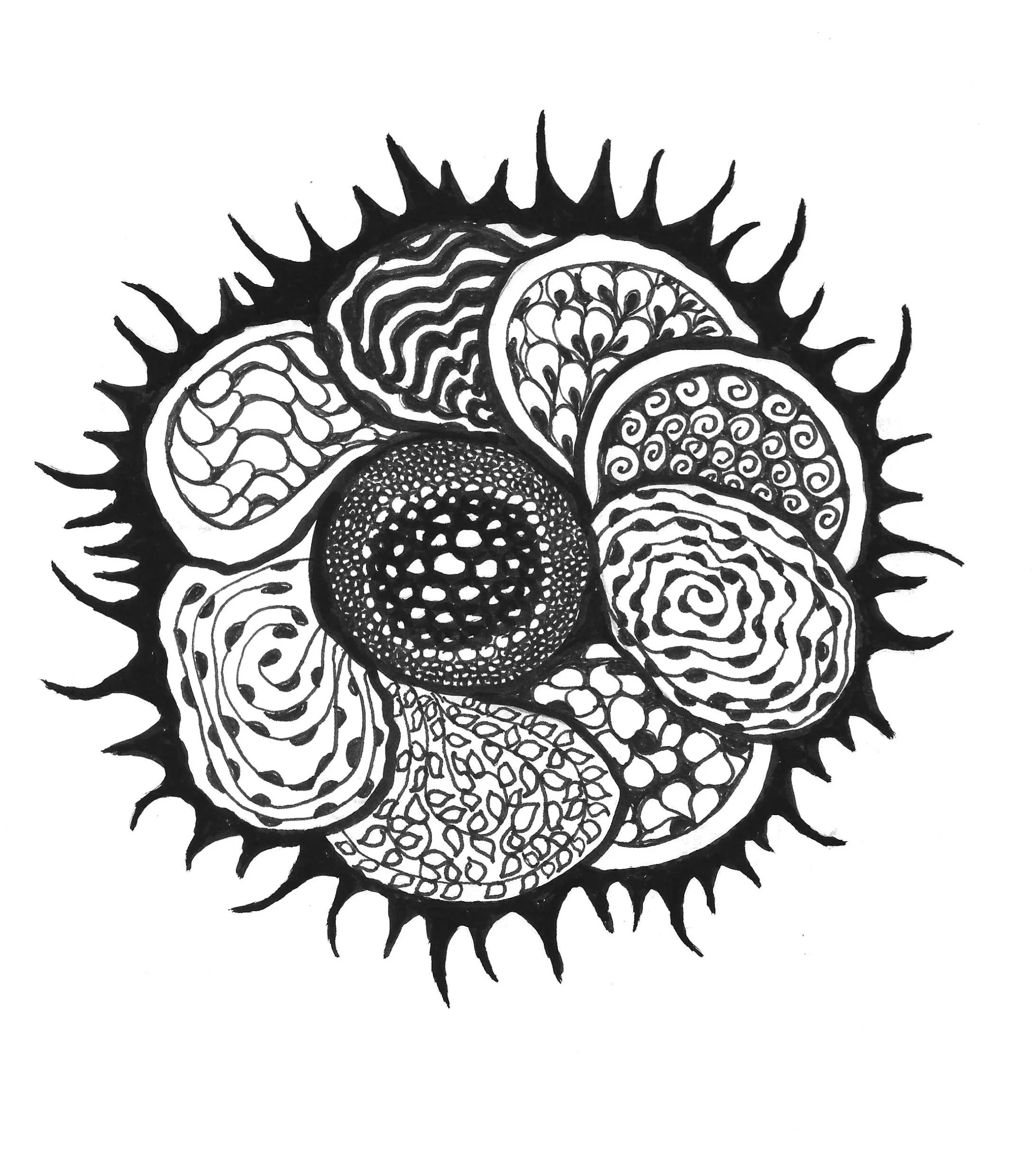 2026-05-21_121511.jpg