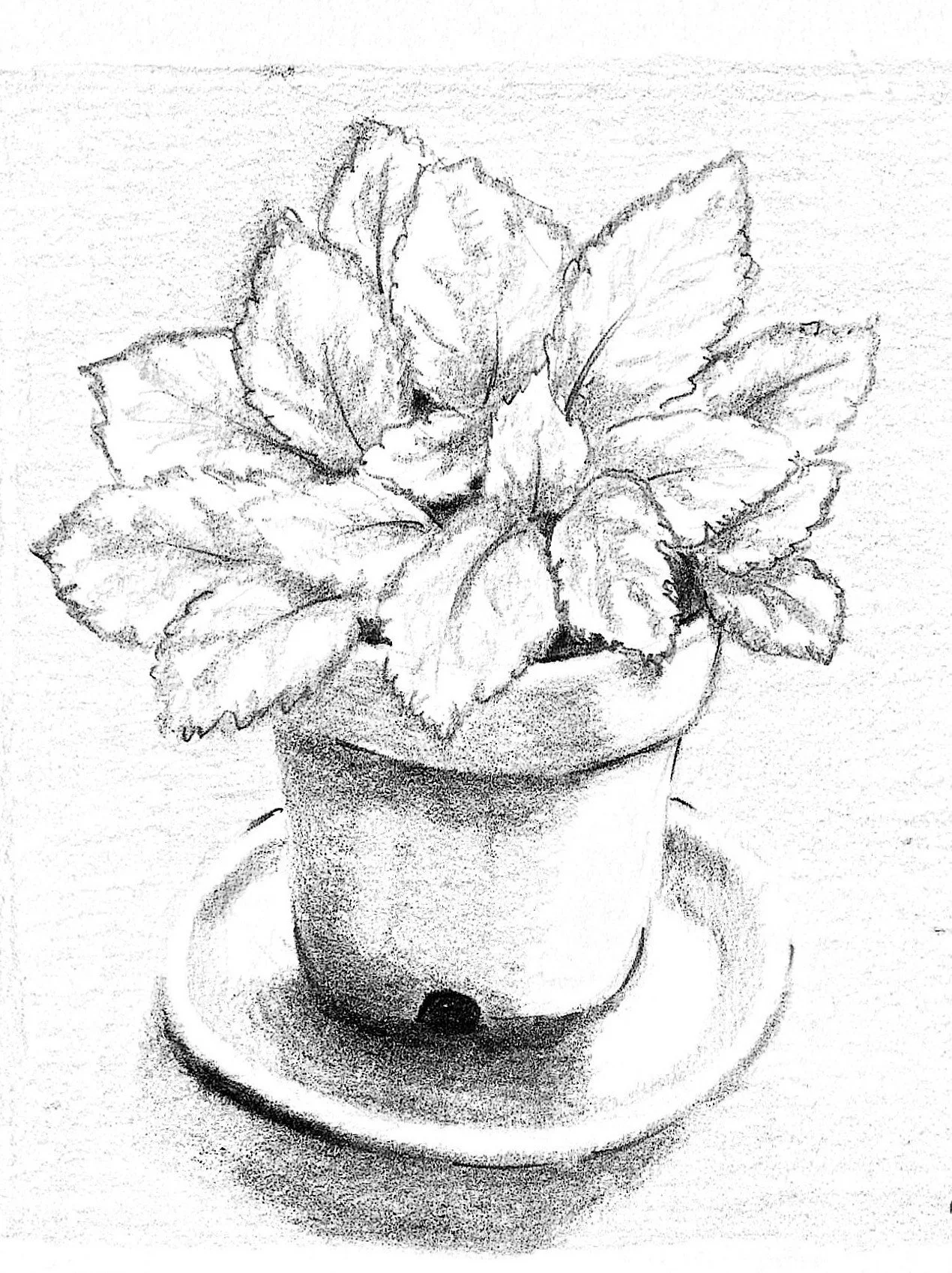 Document_2026-05-21_125332.jpg