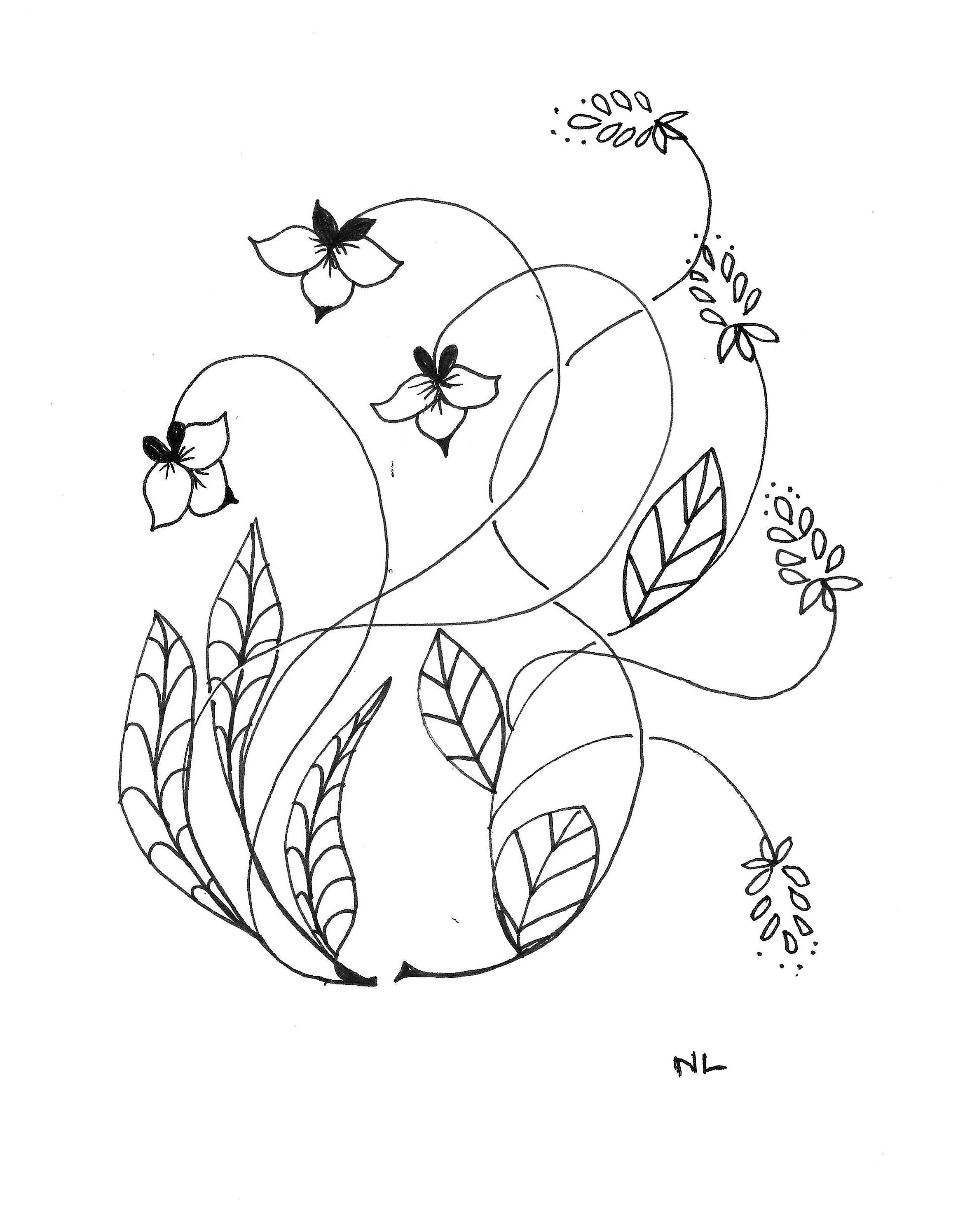 Document_2026-02-15_171315.jpg