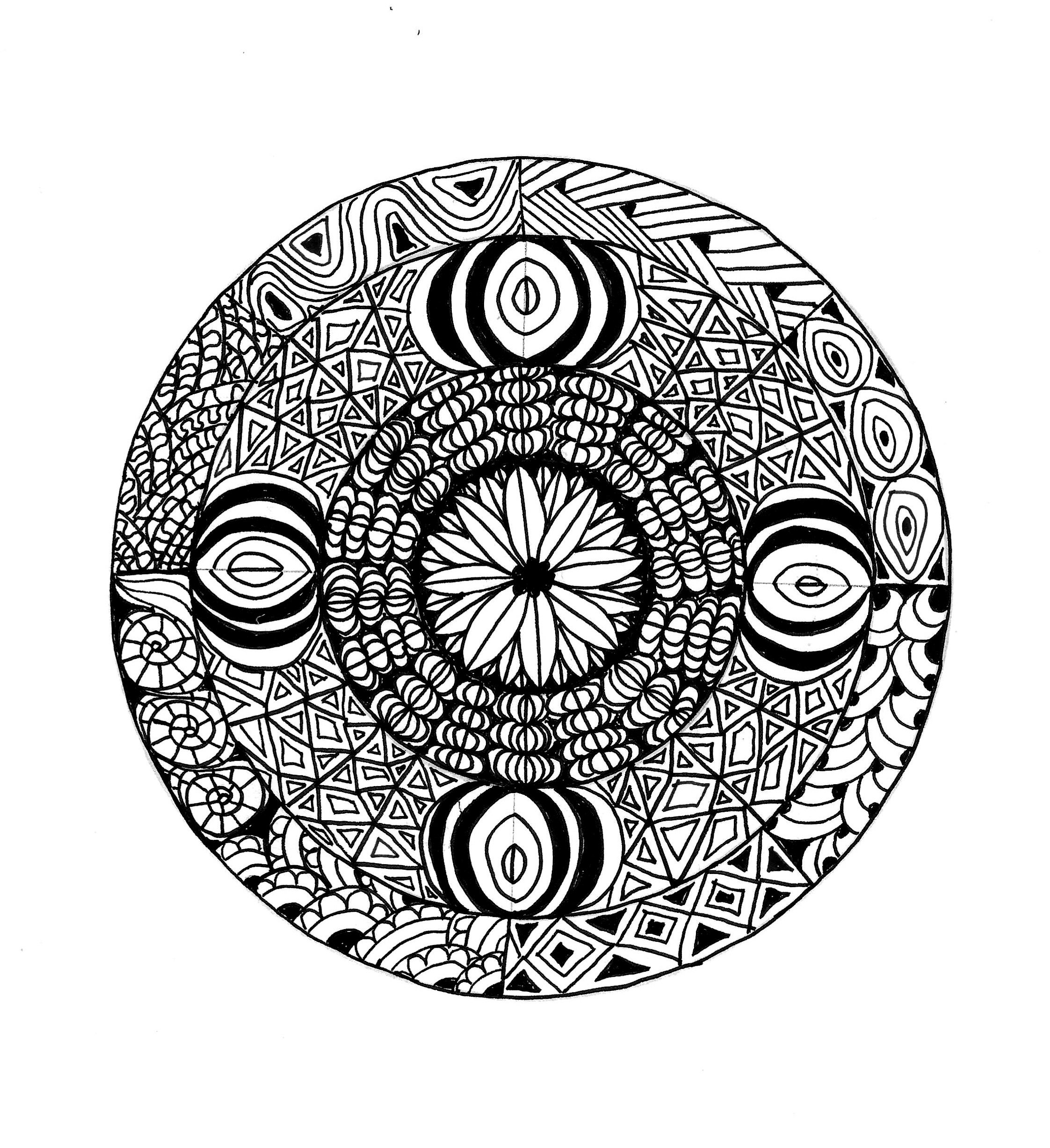 Document_2026-02-15_171509.jpg