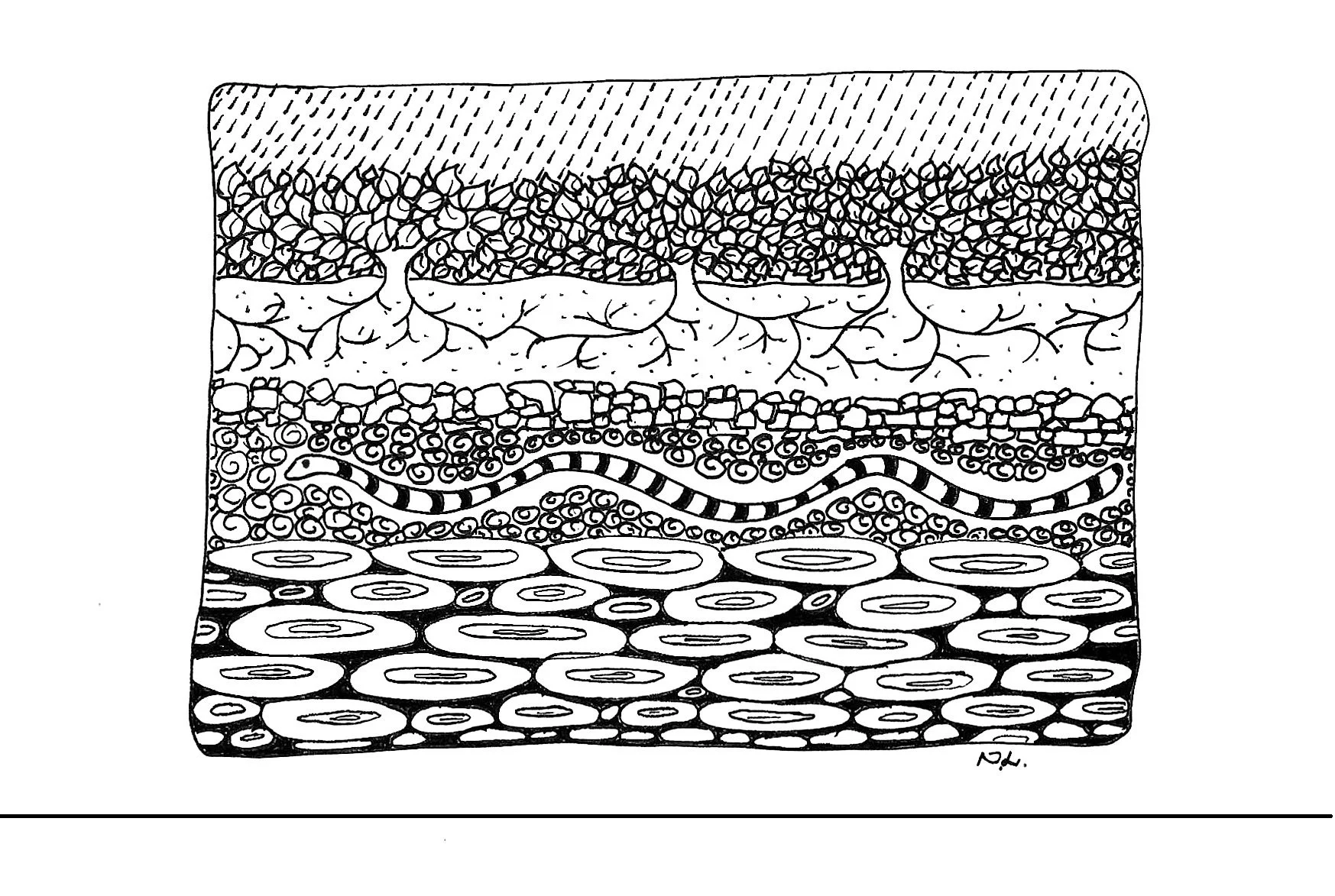 Document_2025-10-17_115808.jpg