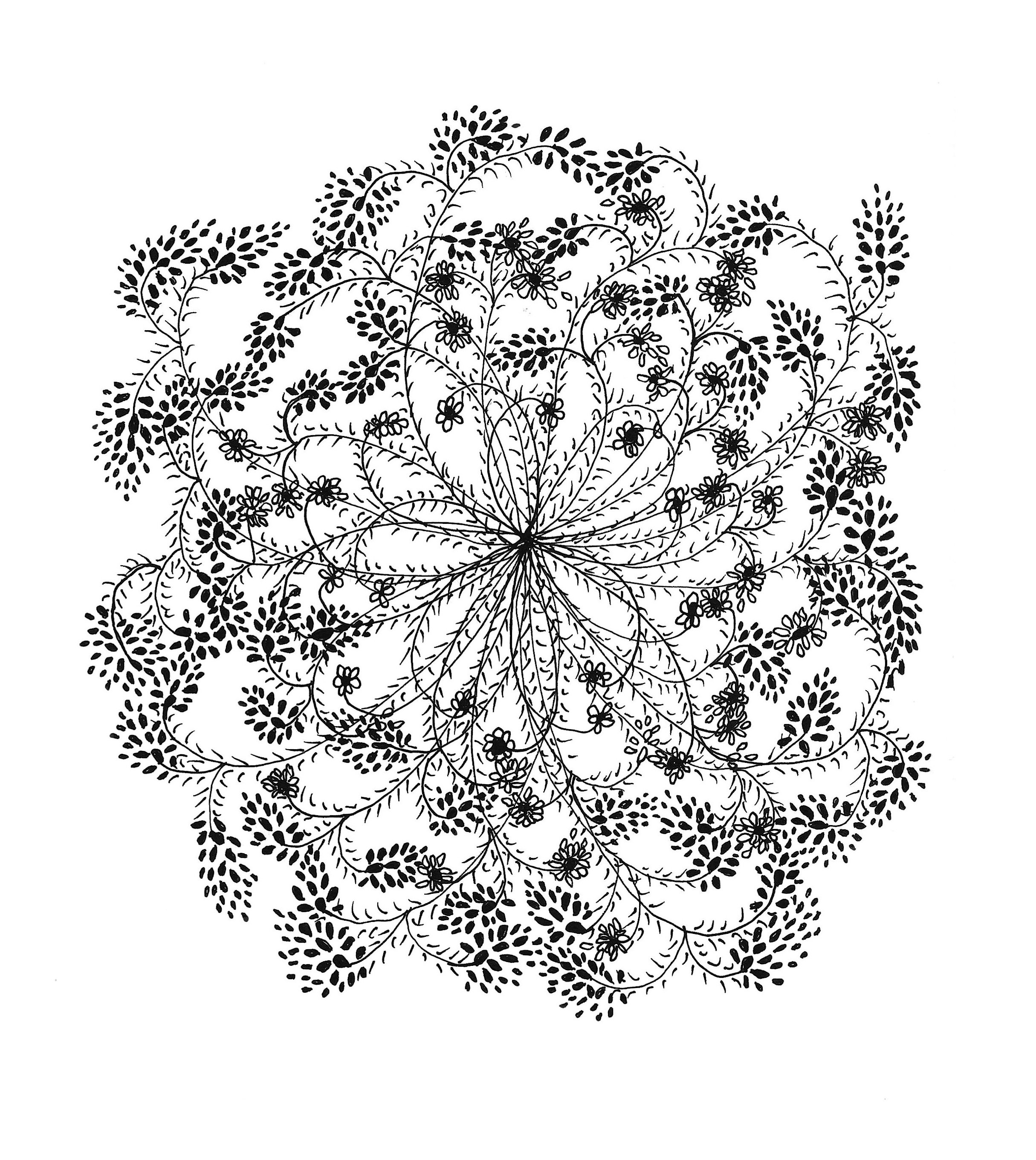 Document_2026-05-18_172551.jpg