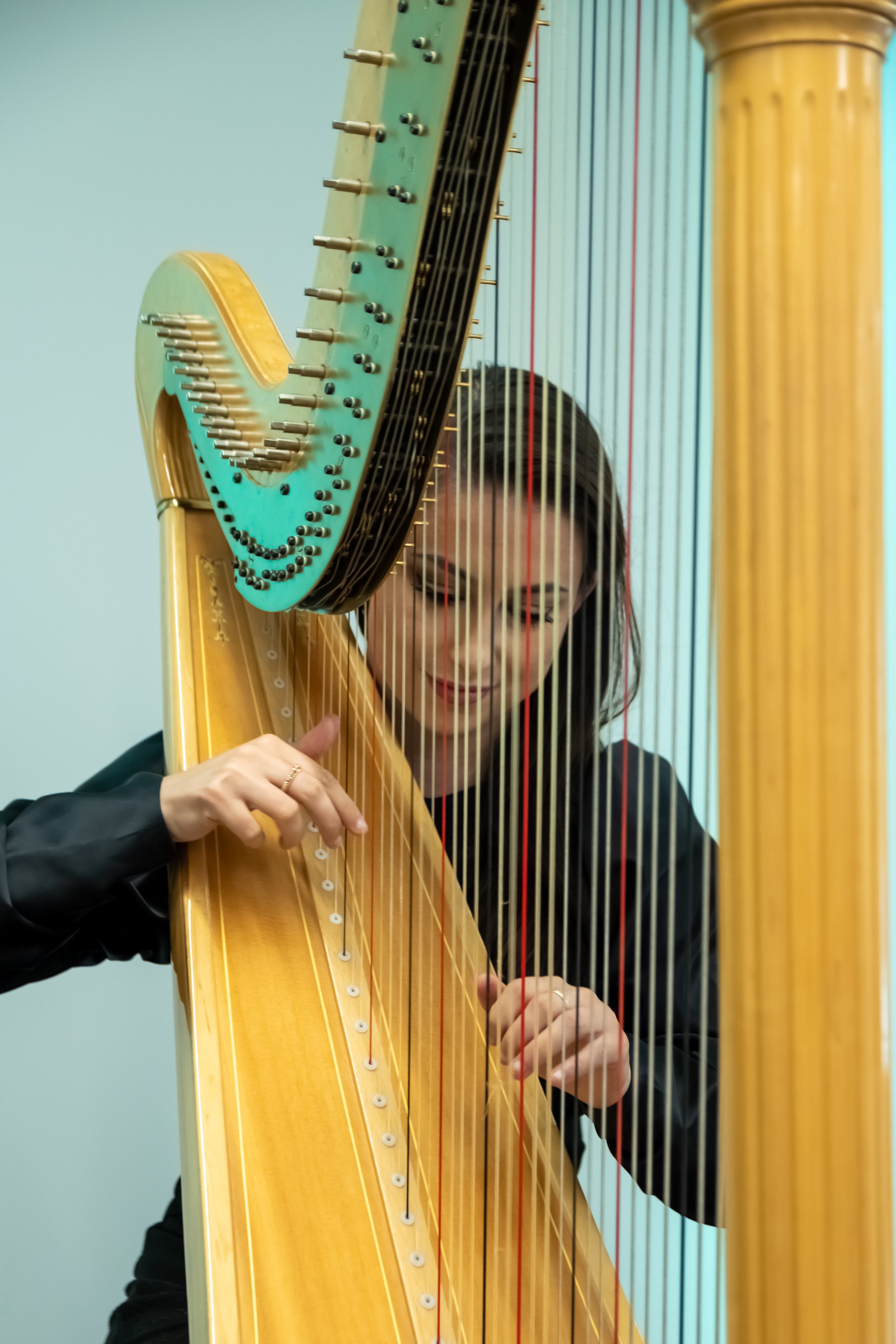 Harpist at opening of Maynooth University's TSI Building.jpg