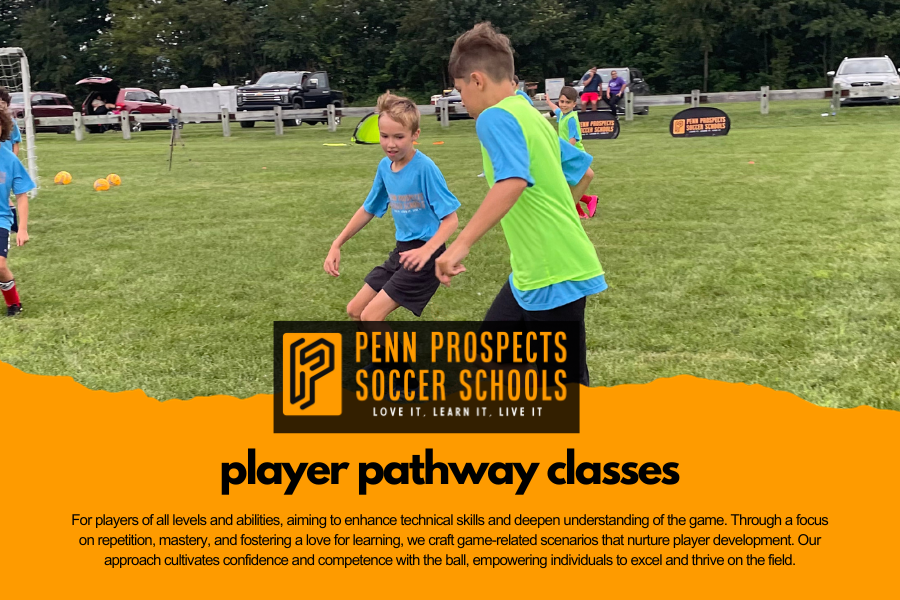 Professional Supplemental Soccer Training Program for players of all