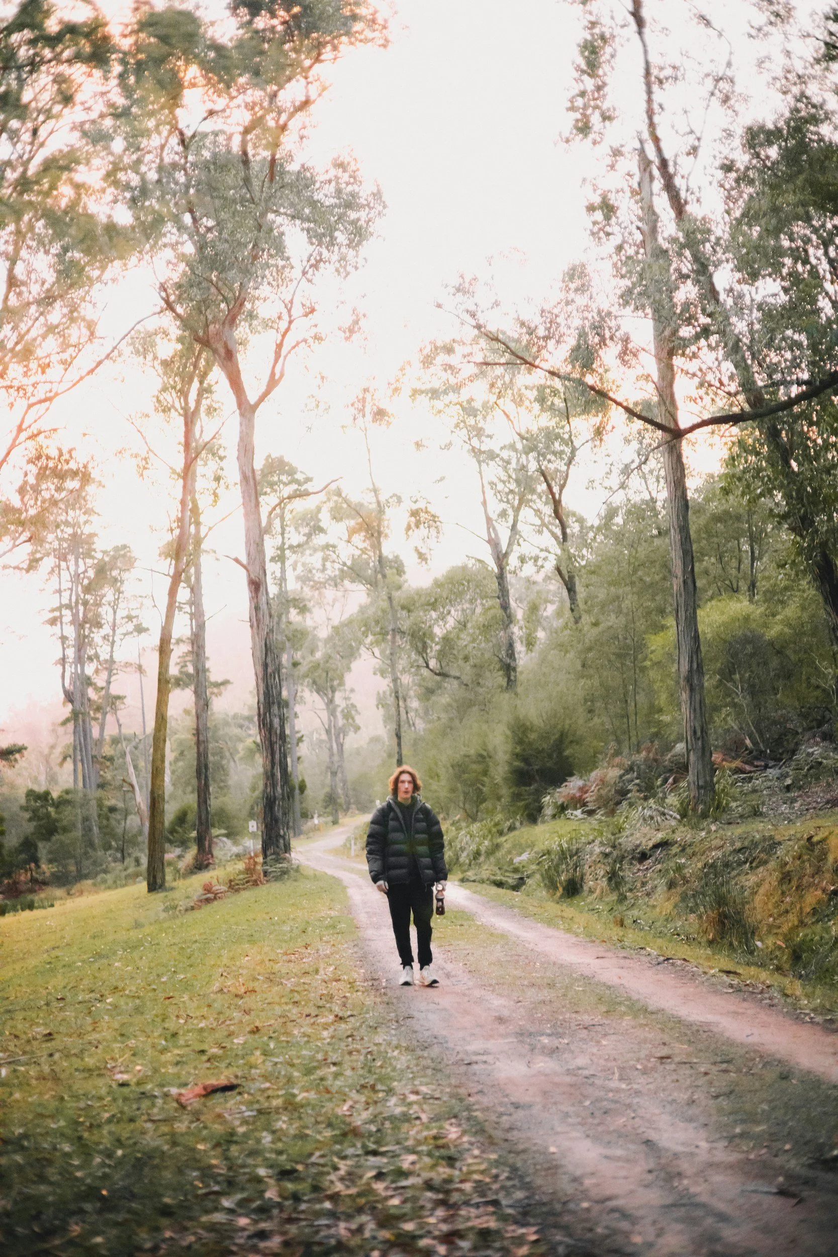walk and talk therapy