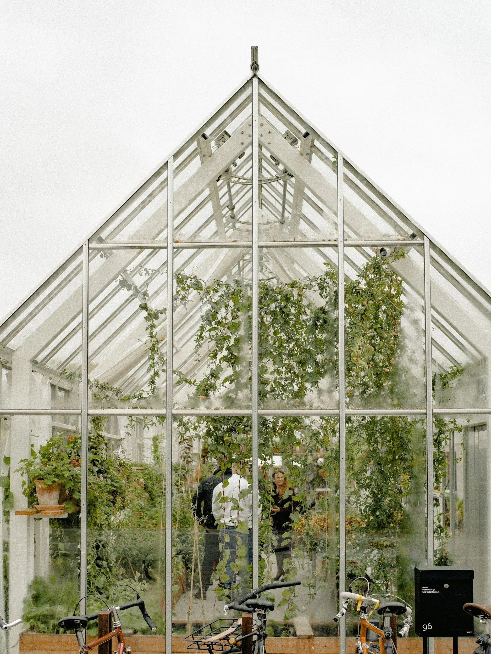 People inside a greenhouse with glass walls and roof, surrounded by plants and climbing greenery, with bicycles parked outside.