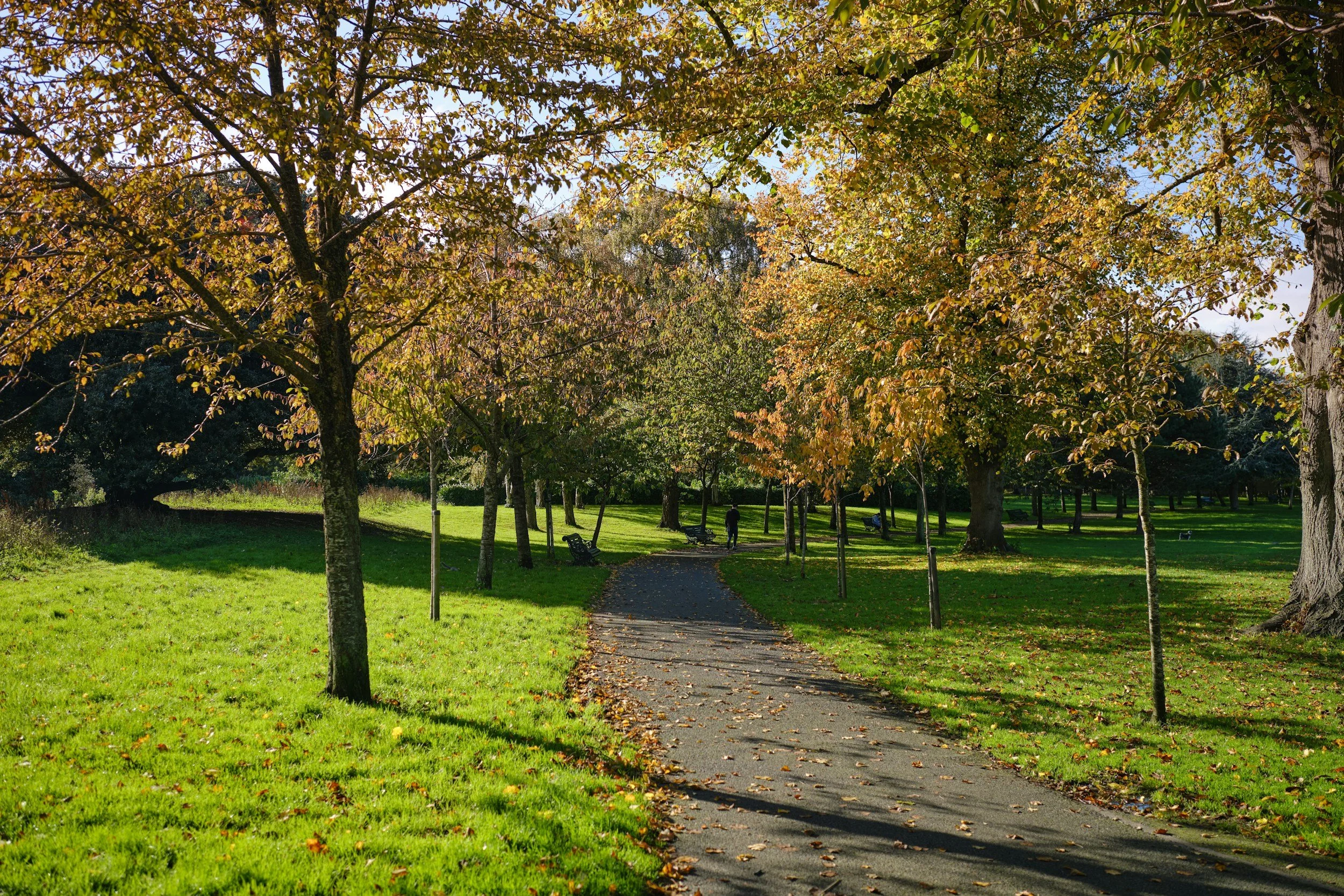walk and talk therapy in a beautiful location