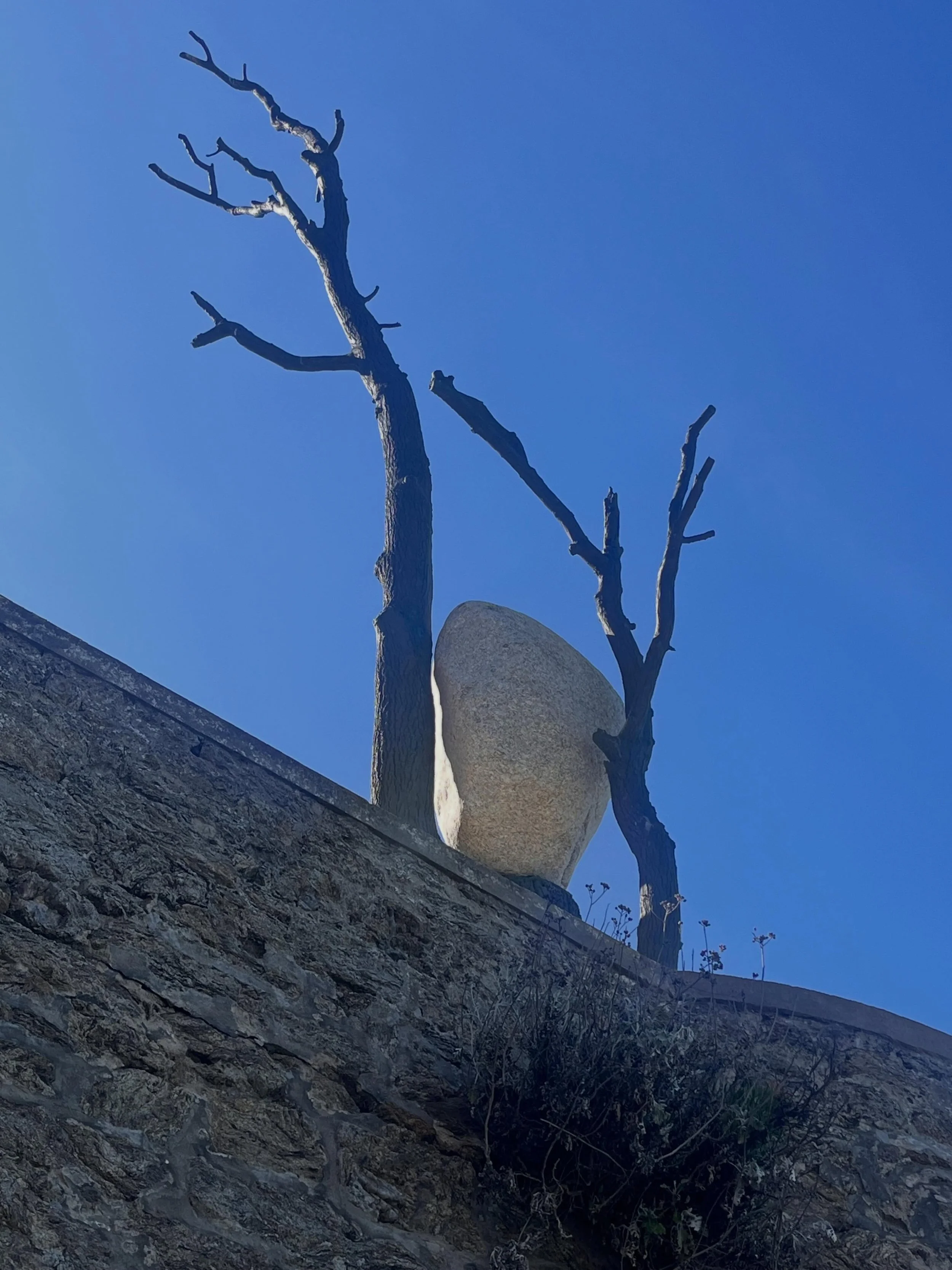 Rock and a hard place