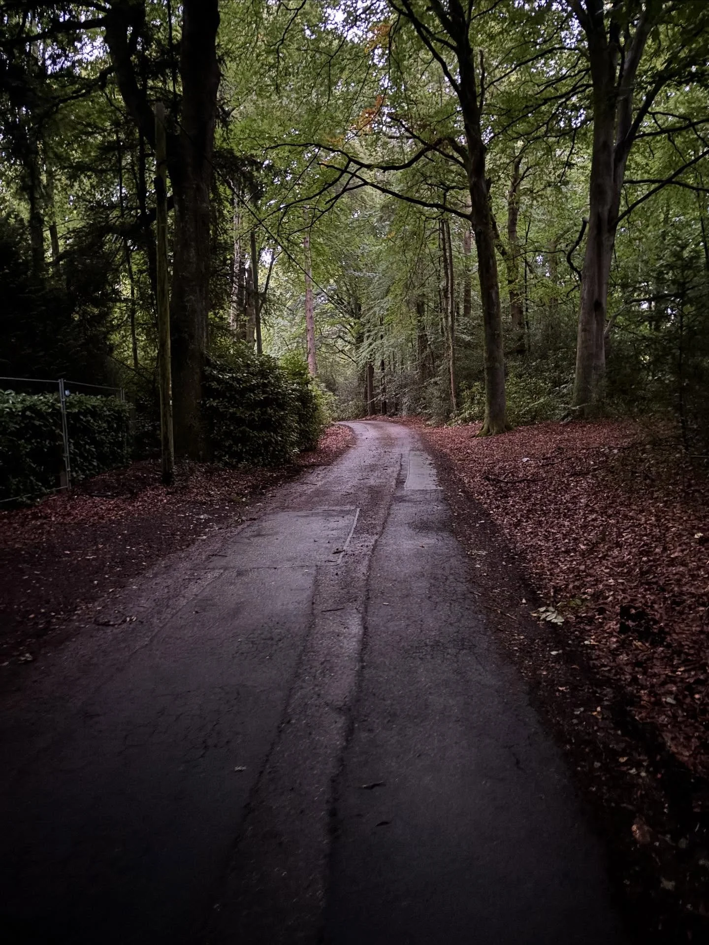 Early morning dog walks are getting murky. This was my track at 6.50am&hellip;
🍂 🍁🍂🍁🍂🍂🍁