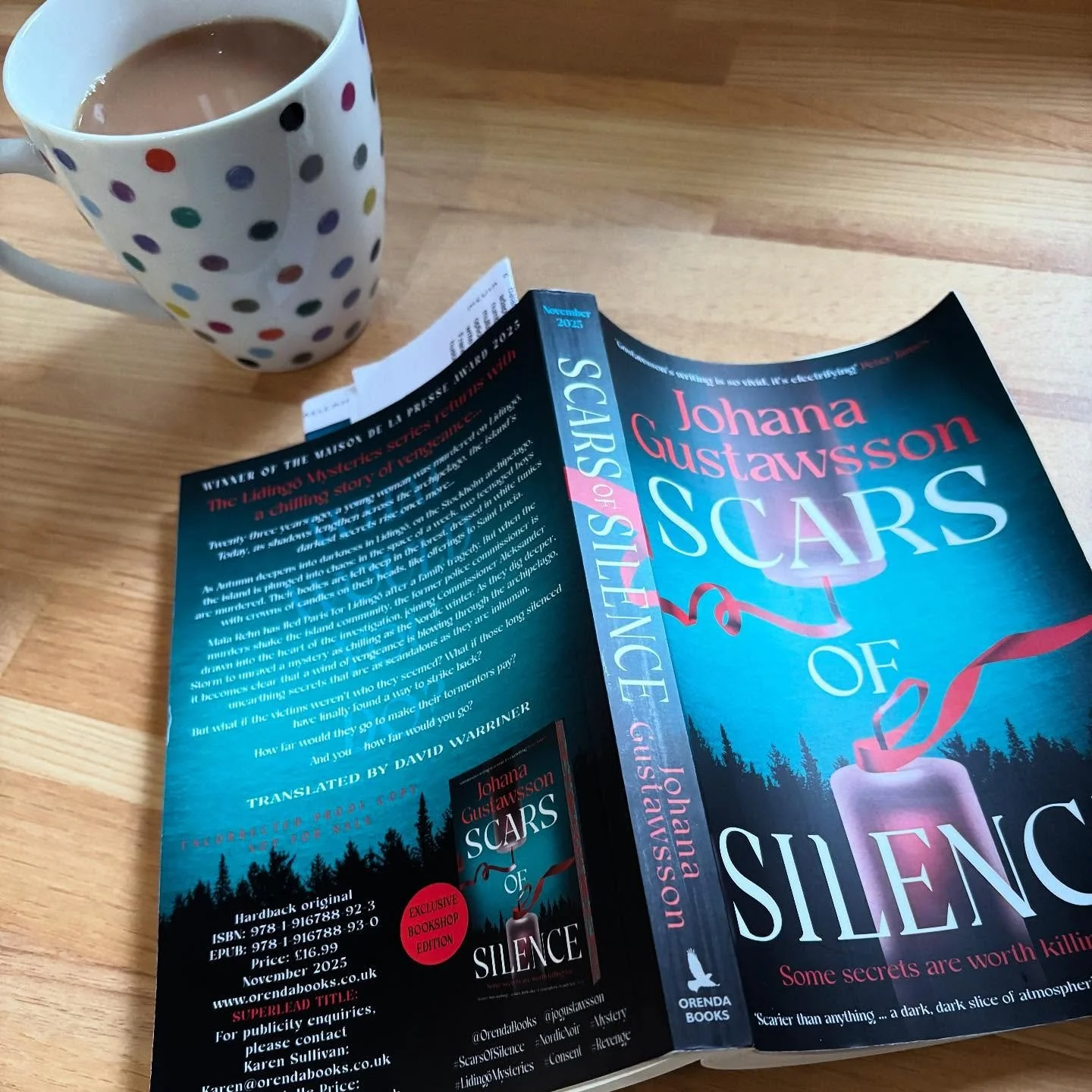 When two teenaged boys are found murdered and dressed in the robes of Saint Lucia, Commissioner Aleks Storm and Ma&iuml;a Rehn can&rsquo;t help but see the connection with a young woman&rsquo;s murder 23 years ago. Relevant and timely, SCARS OF SILEN