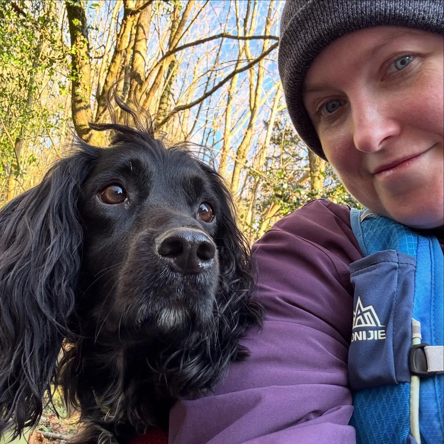 Wow, it&rsquo;s cold out there! Beautiful, but cold!
#dogrun #canix #trailrunning #spaniellife