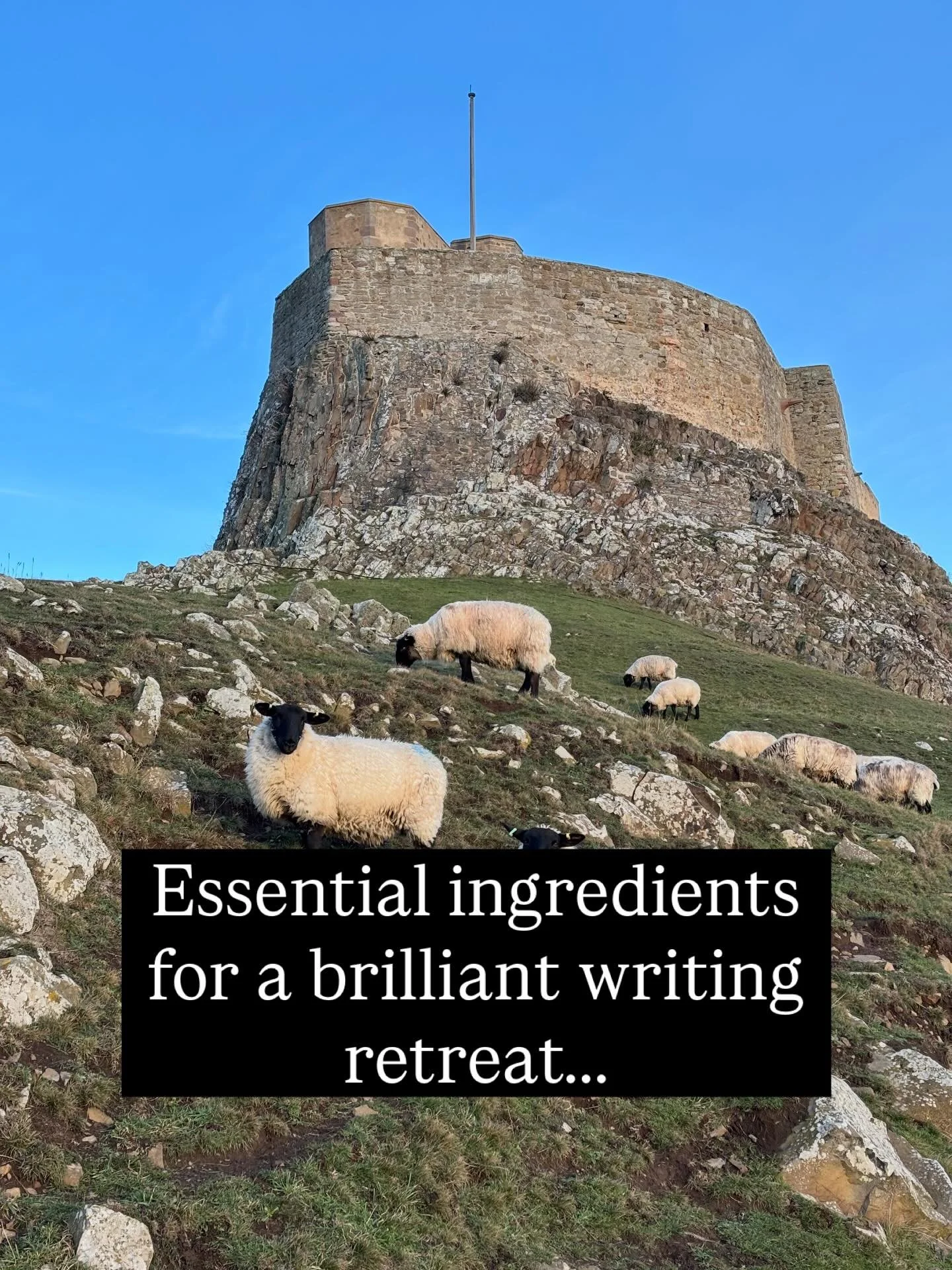 Don&rsquo;t scrimp on the teacakes.
#writingretreat #authorlife #writinglife