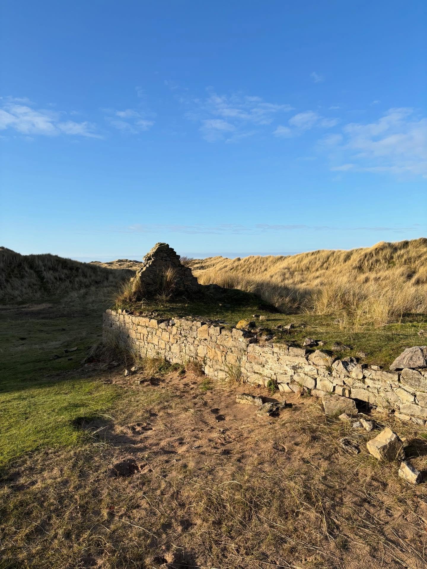 Working and walking - a glorious day marching around Lindisfarne and getting lost on the dunes, followed by hours in my pit editing furiously.
#authorlife #writinglife #amediting #bookstagram #crimefiction
