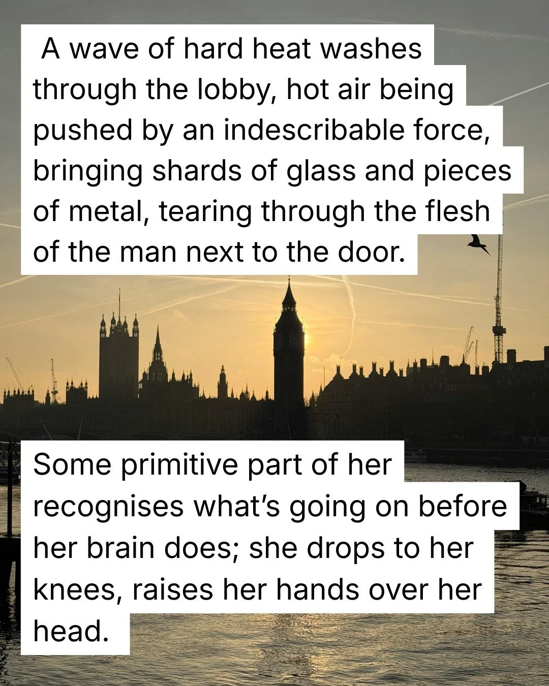 I'm currently working through the structural edits for the fourth PC Lucy Halliday book (aka 'dog book') and loving being back in Lucy and Jack's world.
This time the case takes them to London, where a bomb has just gone off on Oxford Street. And, ou