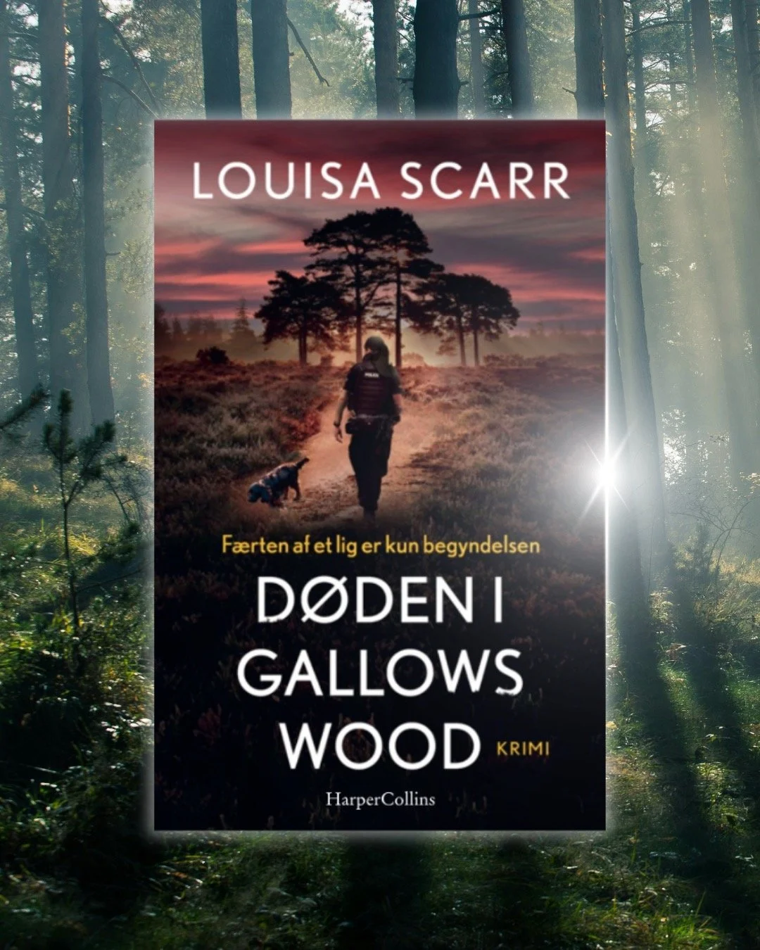 D&oslash;den I Gallows Wood (or Death in Gallows Wood) is out in Denmark today! And I'm going to be at Krimimessen in Horsens at the end of March - can't wait to see you all again!
