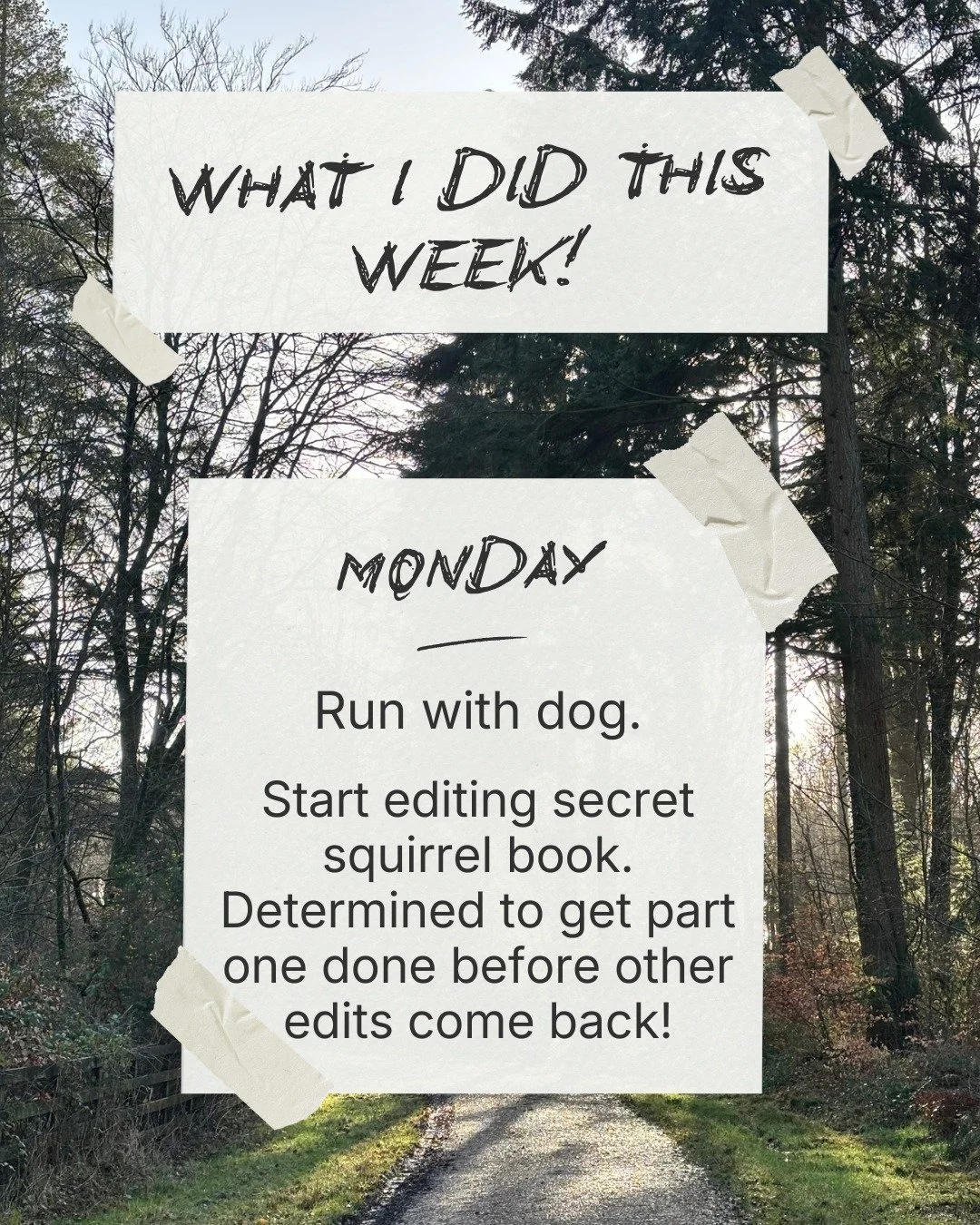 A week of two halves - editing furiously, followed by a brilliant trip to London for the Witch Trial book launch. #authorlife #amediting #dayinthelife