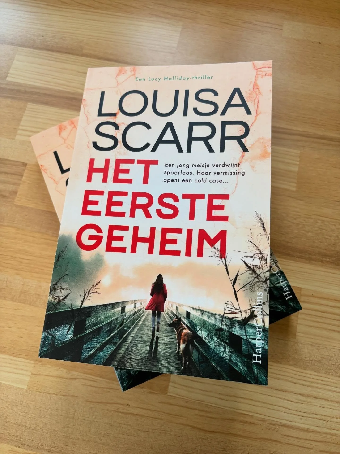 Copies of Het Eerste Geheim have arrived! This is Memorial Park in the UK but The First Secret in the Netherlands. I love this cover!