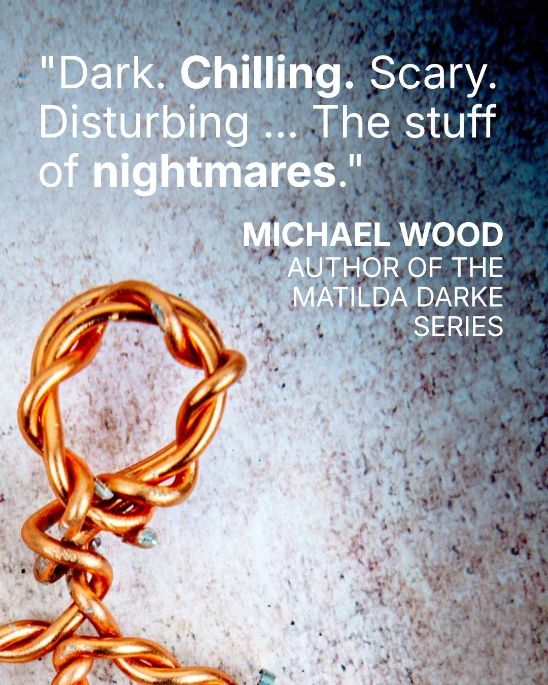 With six weeks to go until THE KILLER IN ROOM FIVE is out in the world, I wanted to share what some absolutely lovely authors have been saying about it. I couldn't be more chuffed!
You can preorder it now - link in my bio and in today's stories.
Than