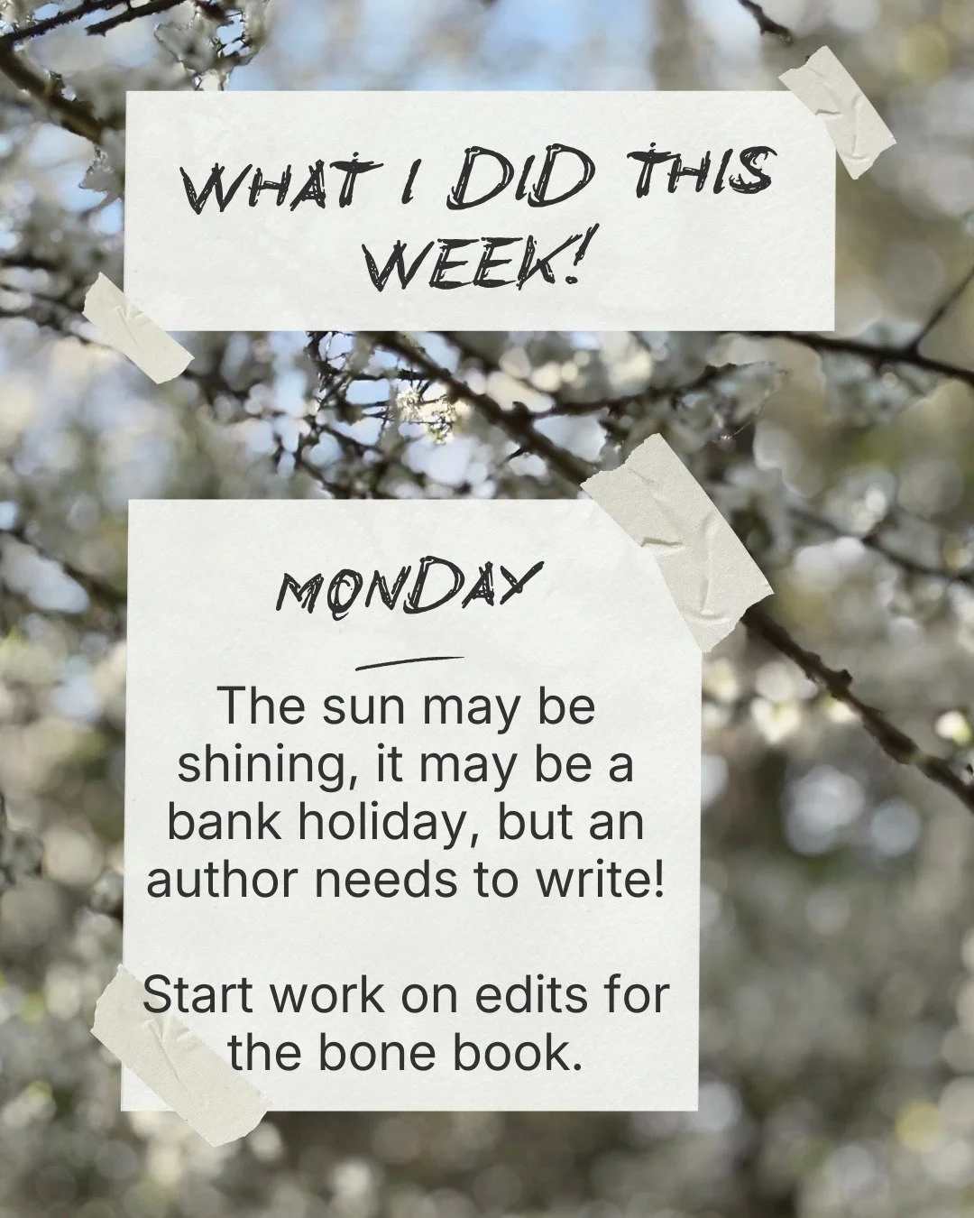 Some weeks are like this! I don't go anywhere or see anyone but I'm having a perfectly lovely week, working on a book, with Max asleep on the sofa next to me.
I haven't even looked at this book since we submitted it for submission last May - it's bee