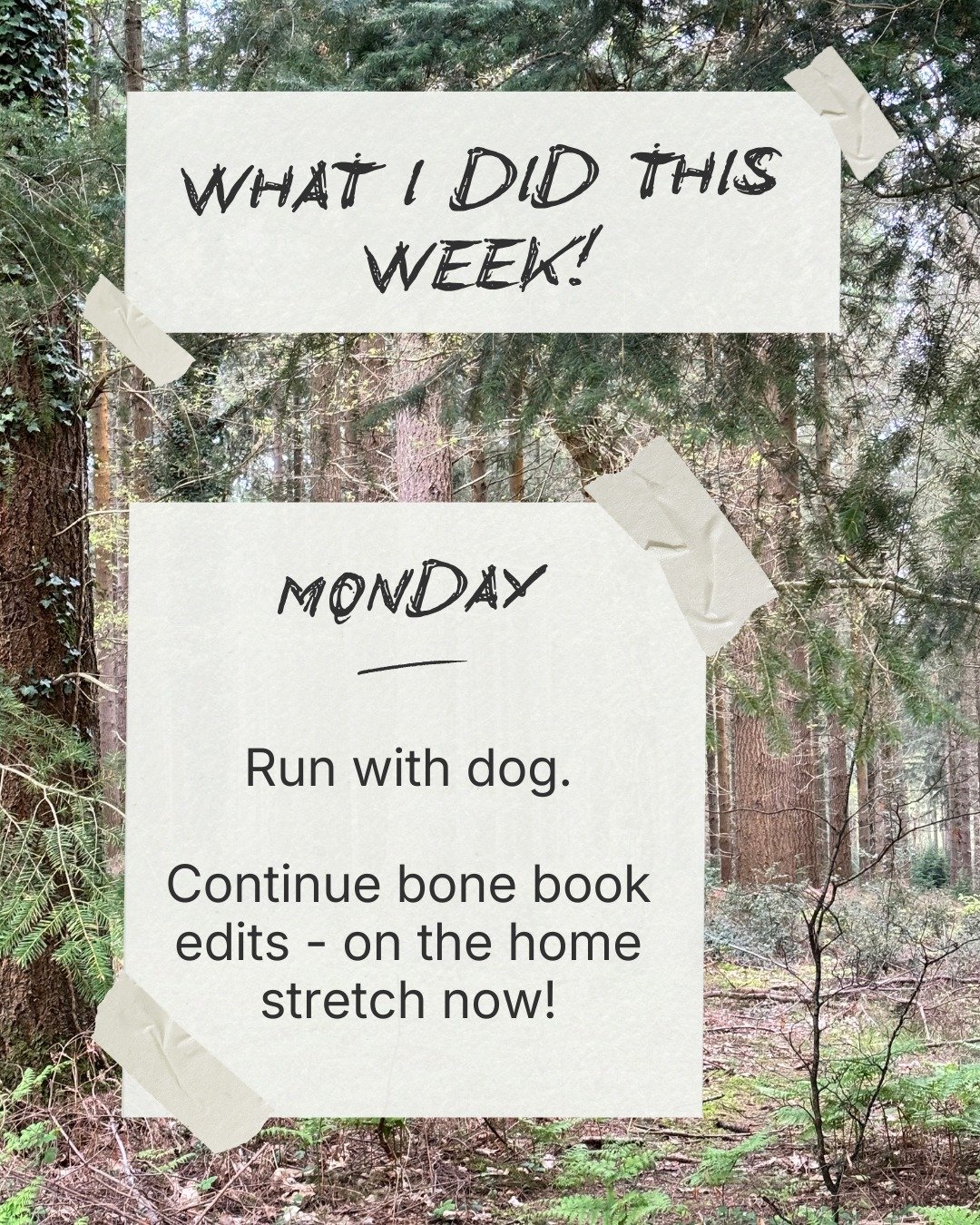 Another quiet week. I'm glad that bone book edits are now done (this round, anyway, they might come back with more comments) and I'm starting to enjoy going back to The Romance again. Don't worry, I'm not going to work all weekend - I'll shut it all 