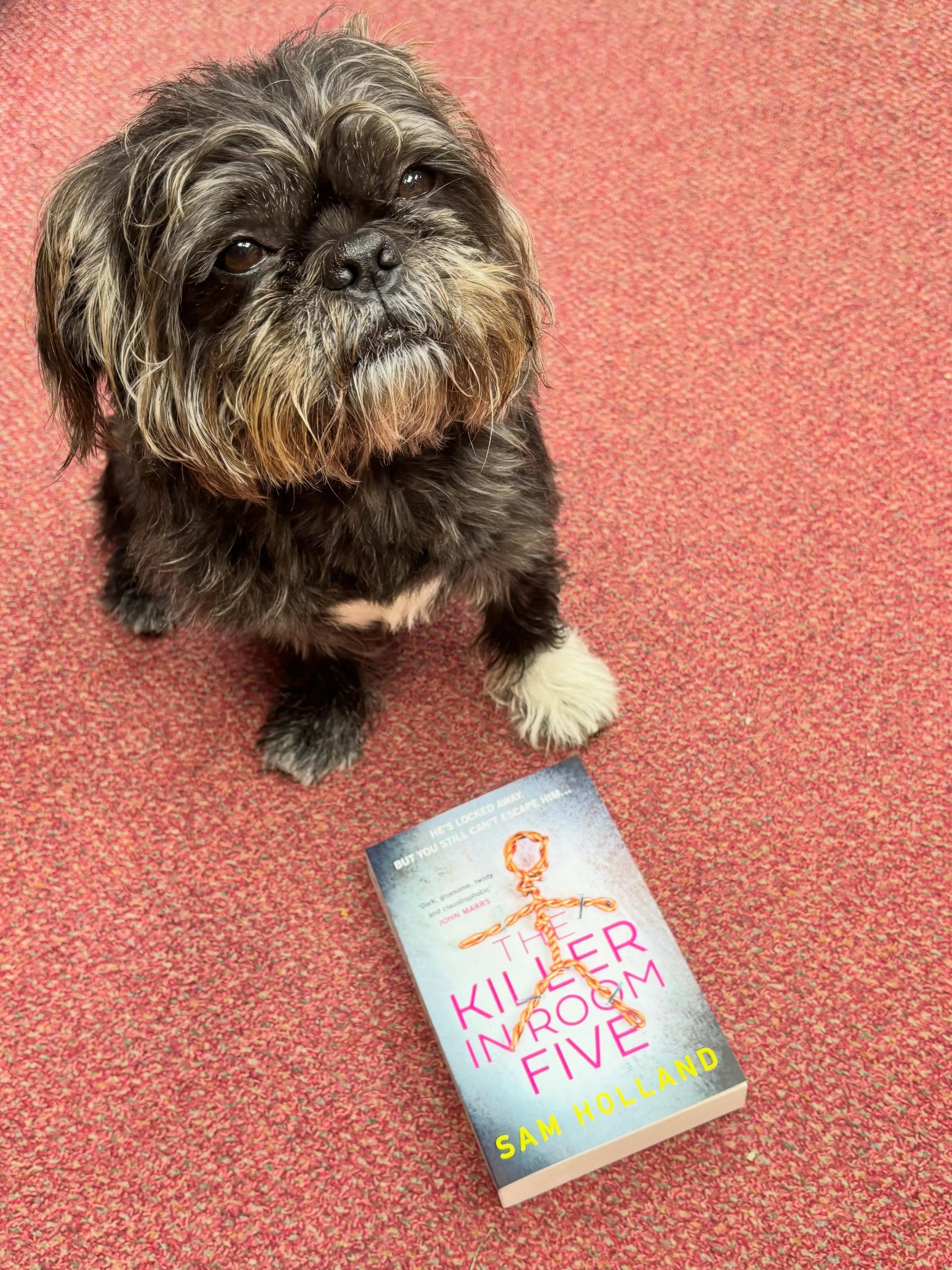 I always have such a great time at @thebookshop1933 at Lee on the Solent, chatting to Sarah, and tonight was no exception. Lots of fab questions and a brilliant conversation. (No photos of me because I have puffy allergy face, so I made Pup pose inst