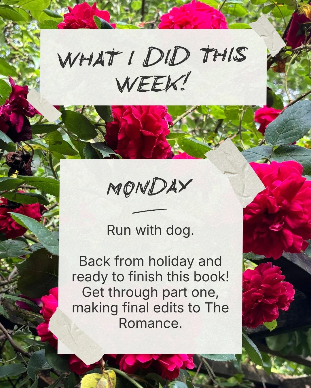 What I did this week!
Finished the first draft of The Romance; started plotting Dog Book 5!
#authorlife #dayinthelife #writingcommunity